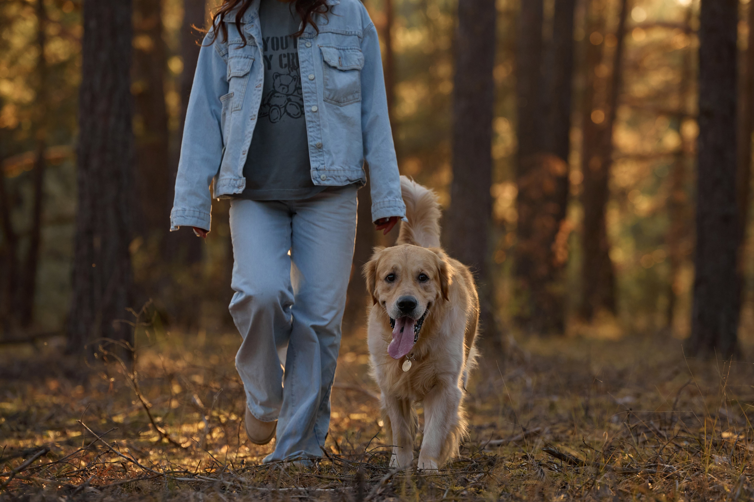 В Марийских лесах. Фотограф анималист в Казани Алина Сулейманова. Фотограф животных