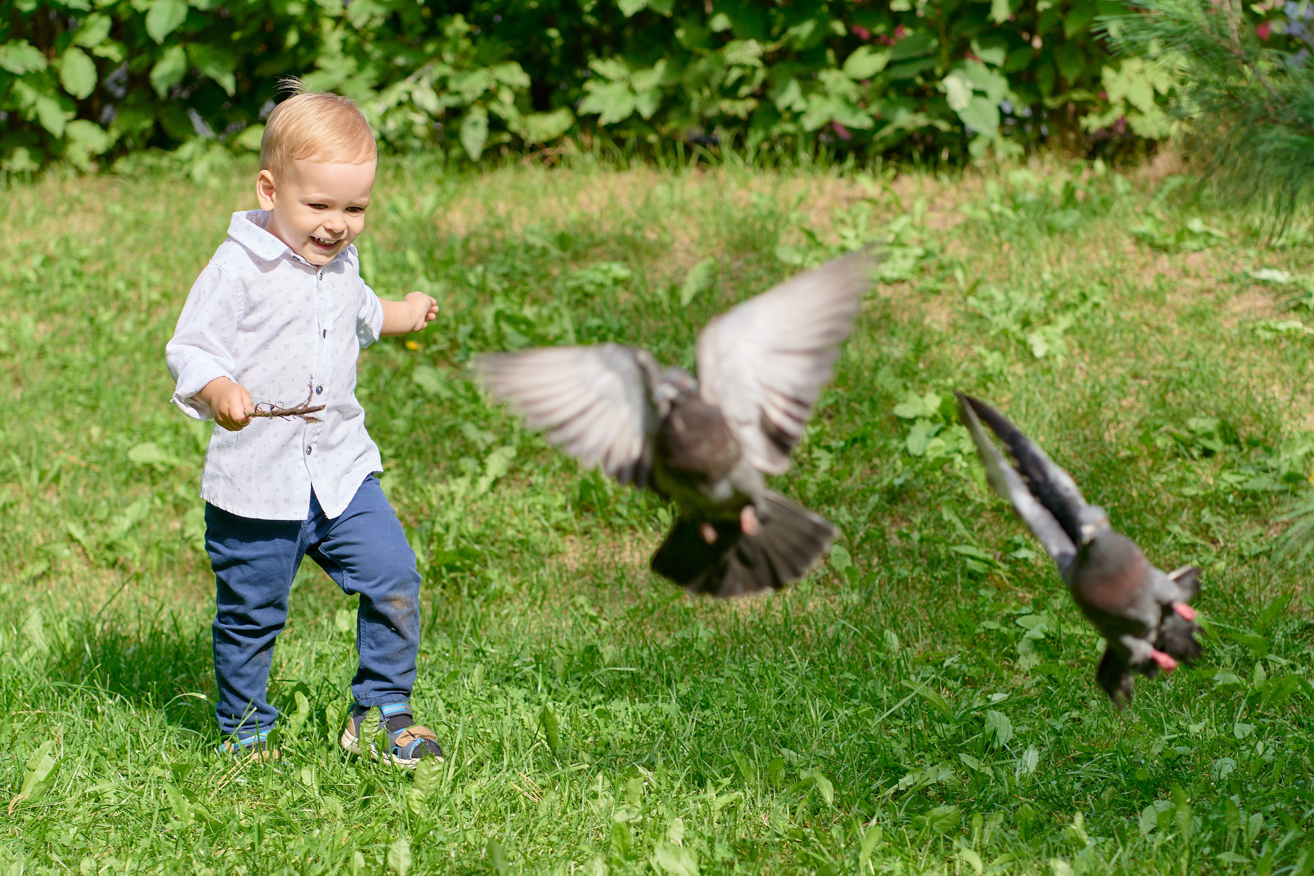 С маленькими детьми на природе. Репортажный и портретный фотограф в Томске Ларионов Артём