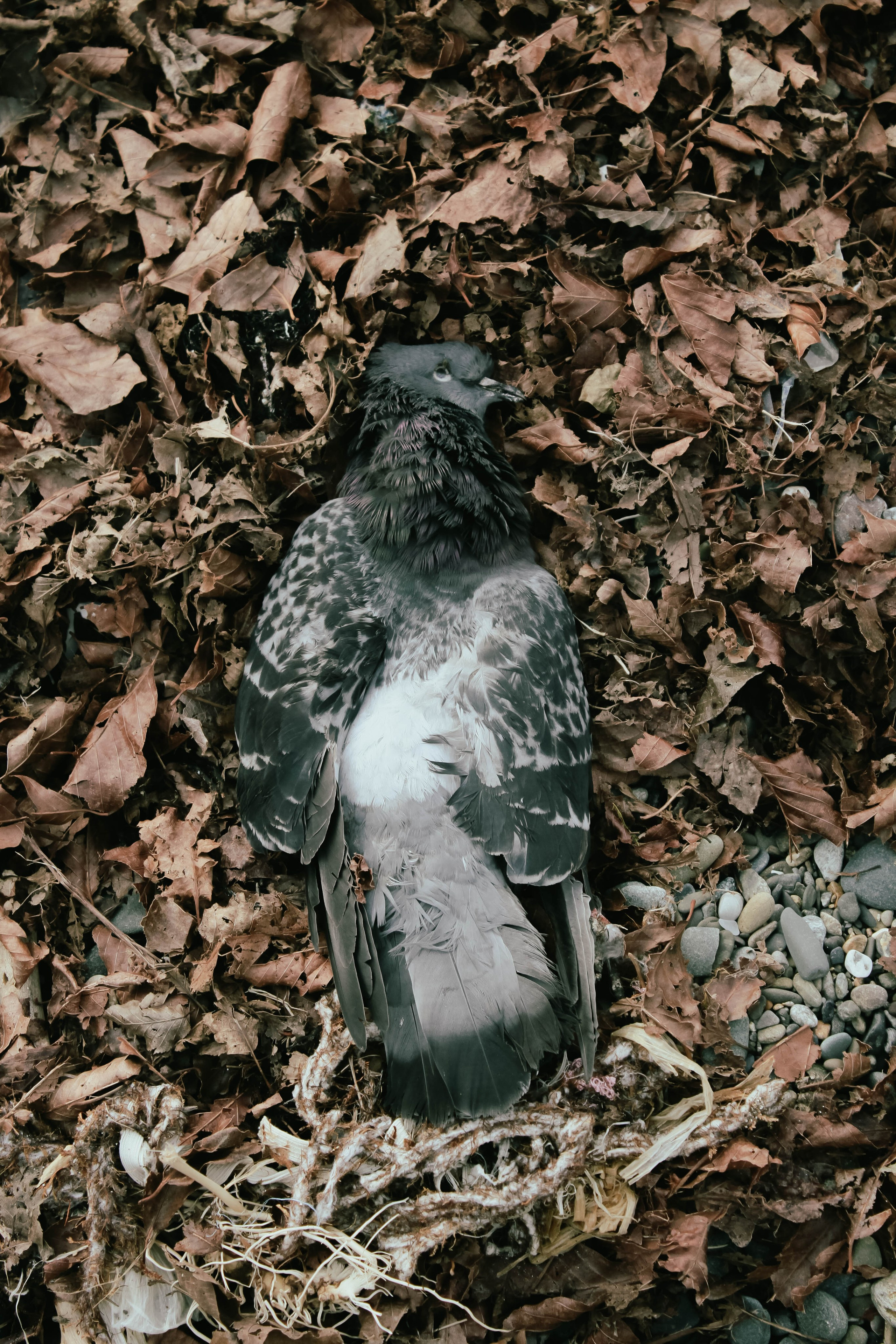 STREET/TRAVEL. Портретный и ню фотограф в Москве Александра Мишура