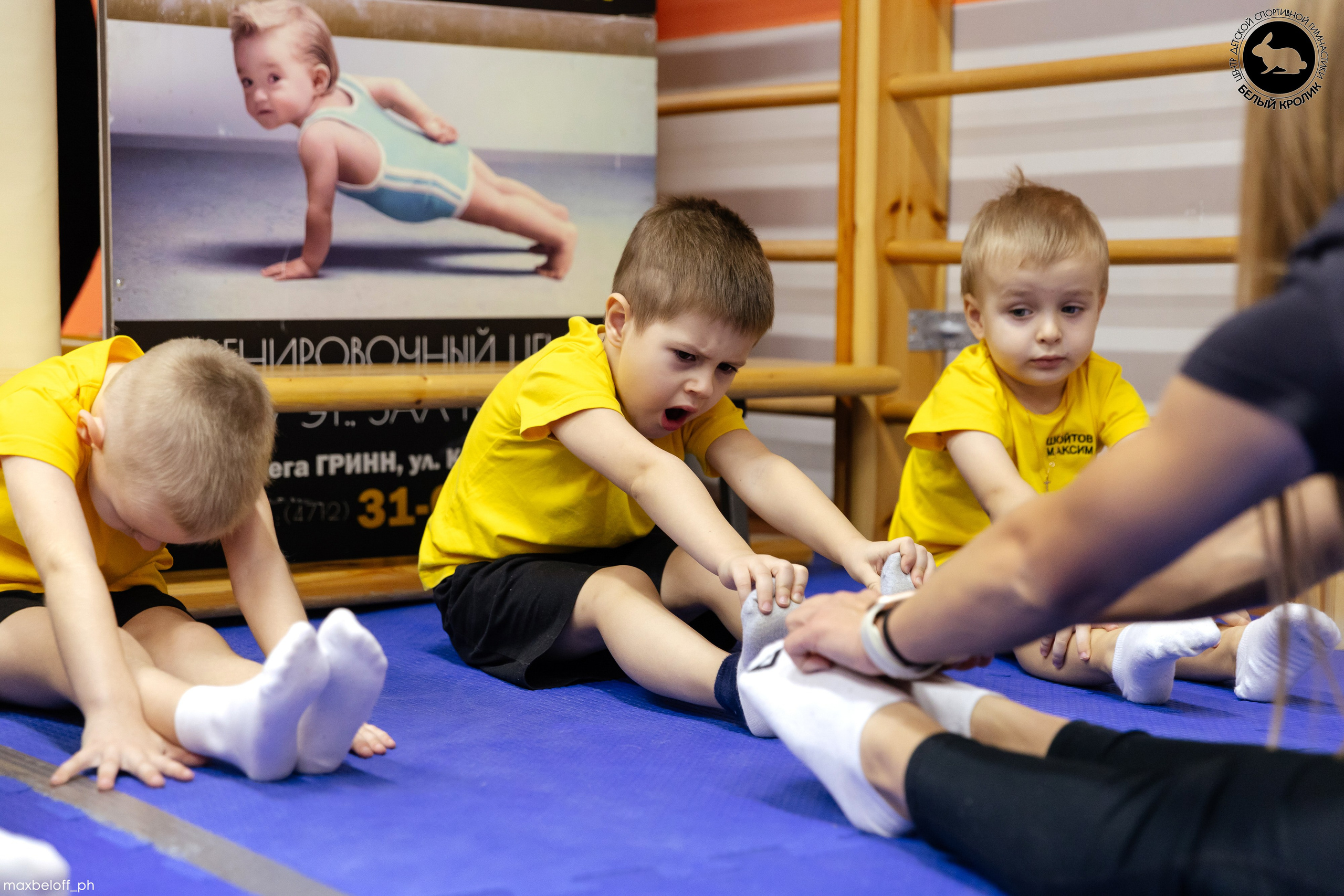 Белый кролик. Соревнования. Семейный фотограф — Макс Белогрудов