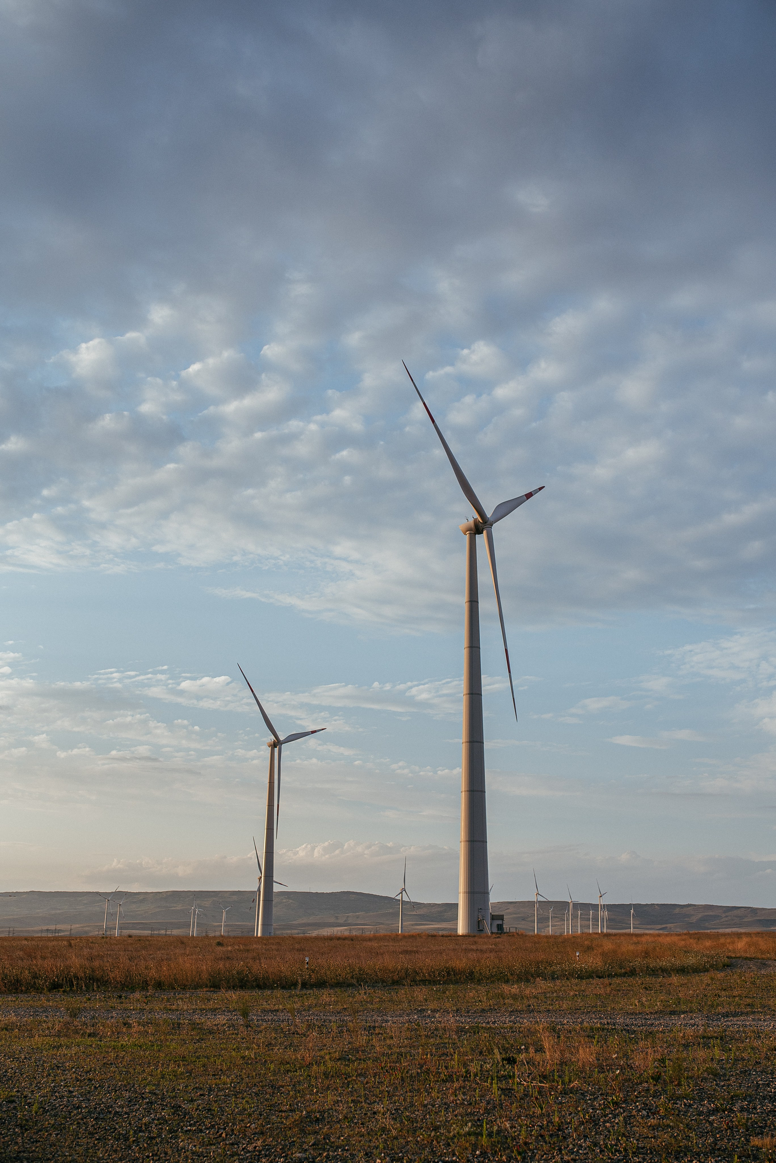 Fam. Семейный фотограф СПб