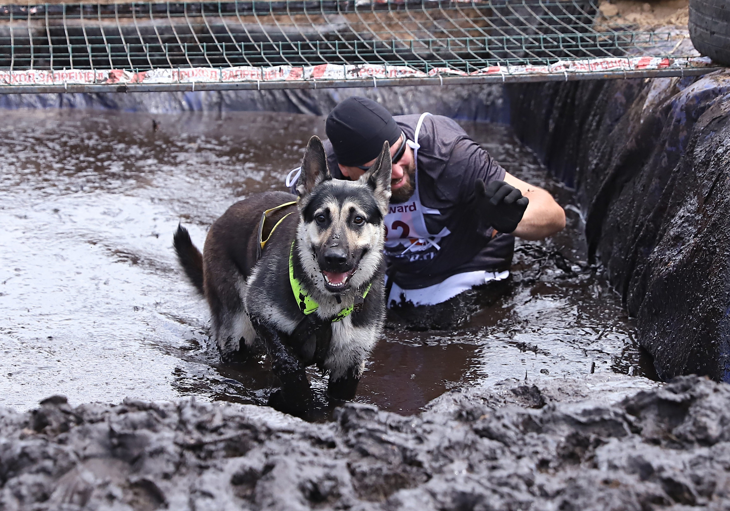 Хвостатый драйв. Семейный и детский фотограф в Москве и МО Елена Москвичева