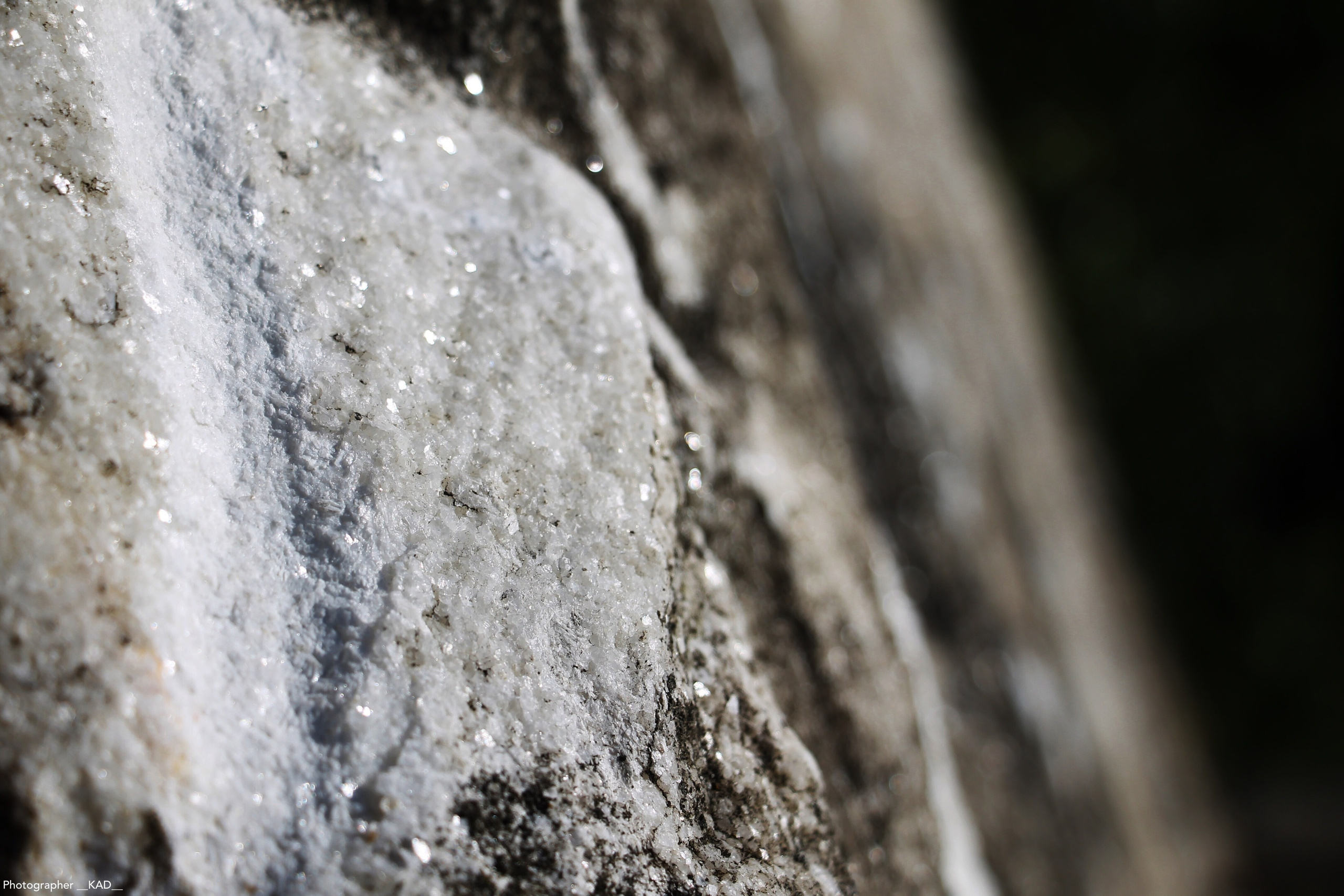 Макросъемка. Photographer K.A.D