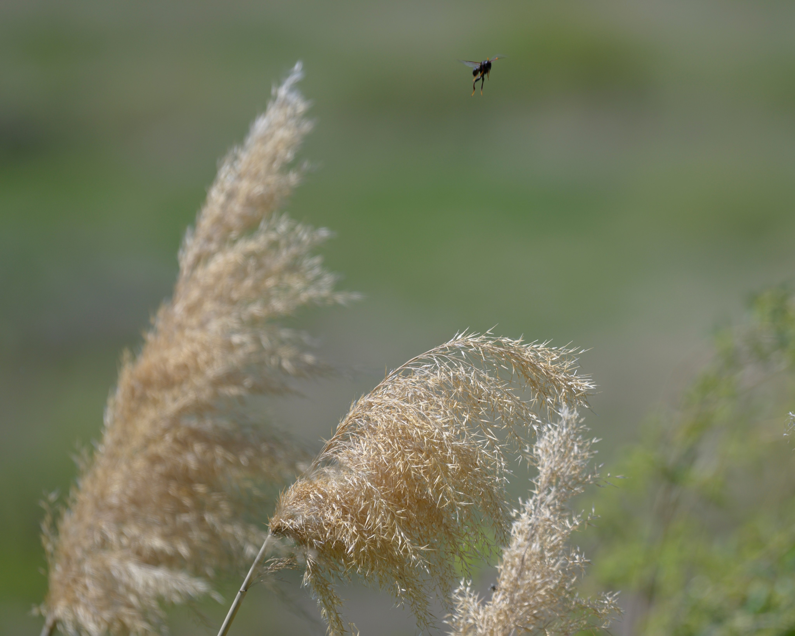 Оренбуржье. Портретный фотограф в Челябинске Катерина Руди