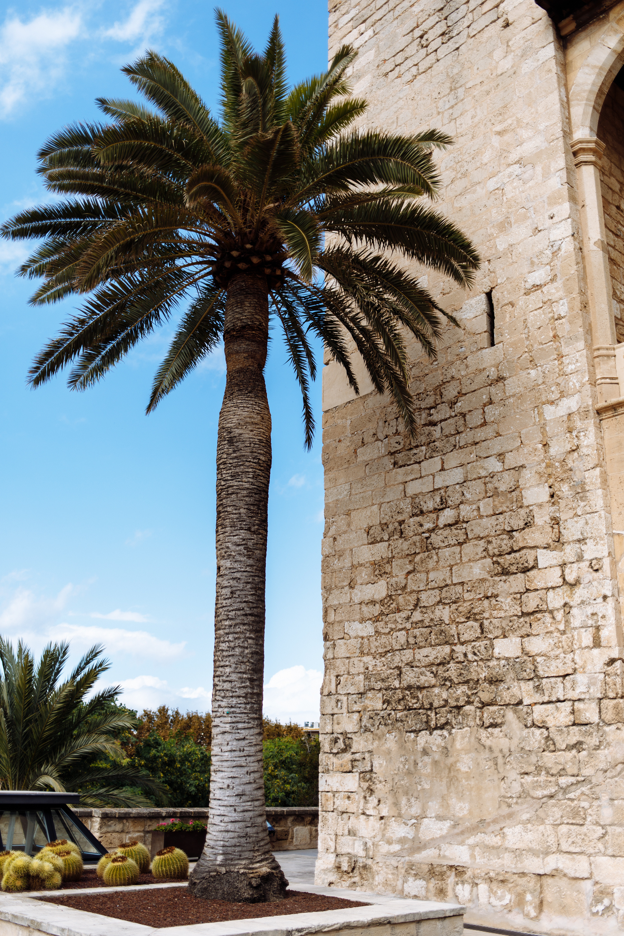 Palma de Mallorca. Свадебный фотограф Аня Милграм