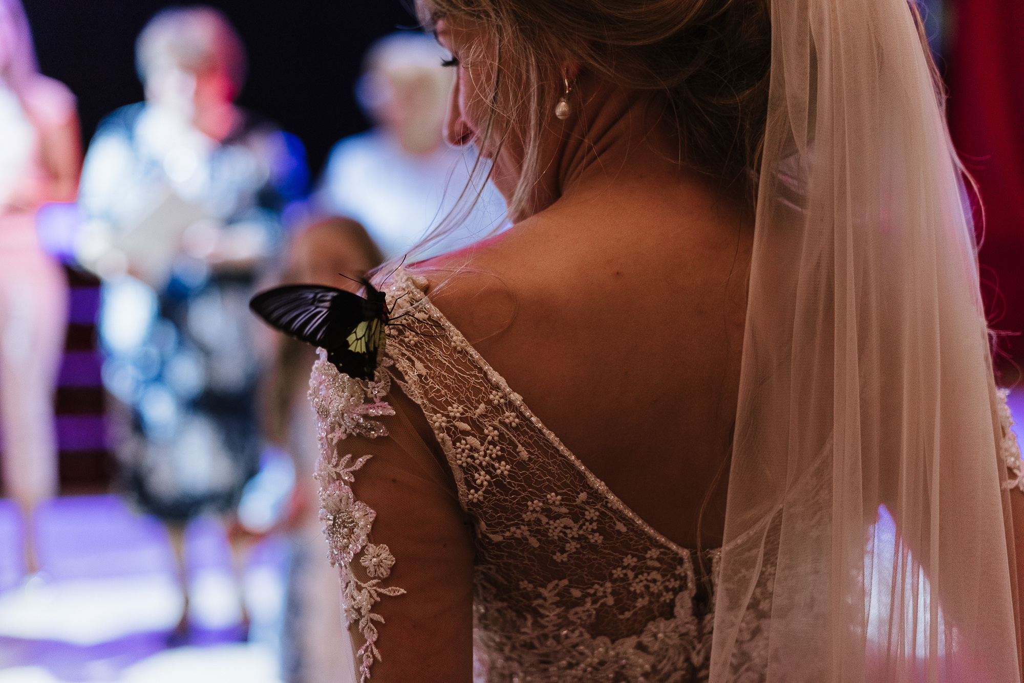 Kate & Svytoslav. Свадебный фотограф Аня Милграм