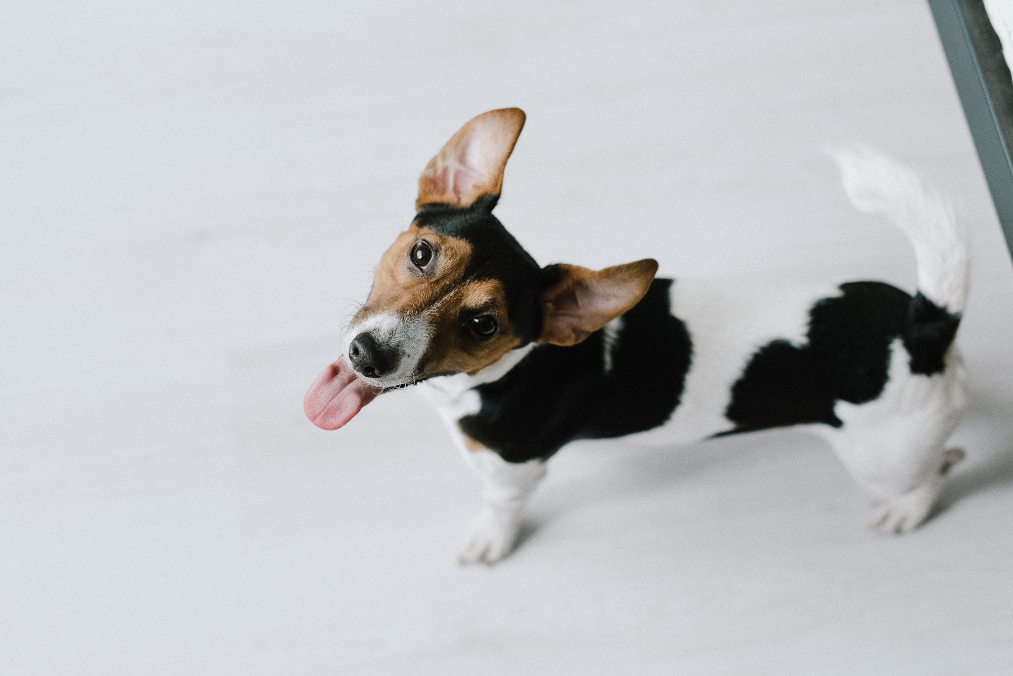 Mary & Alex. Свадебный фотограф Аня Милграм