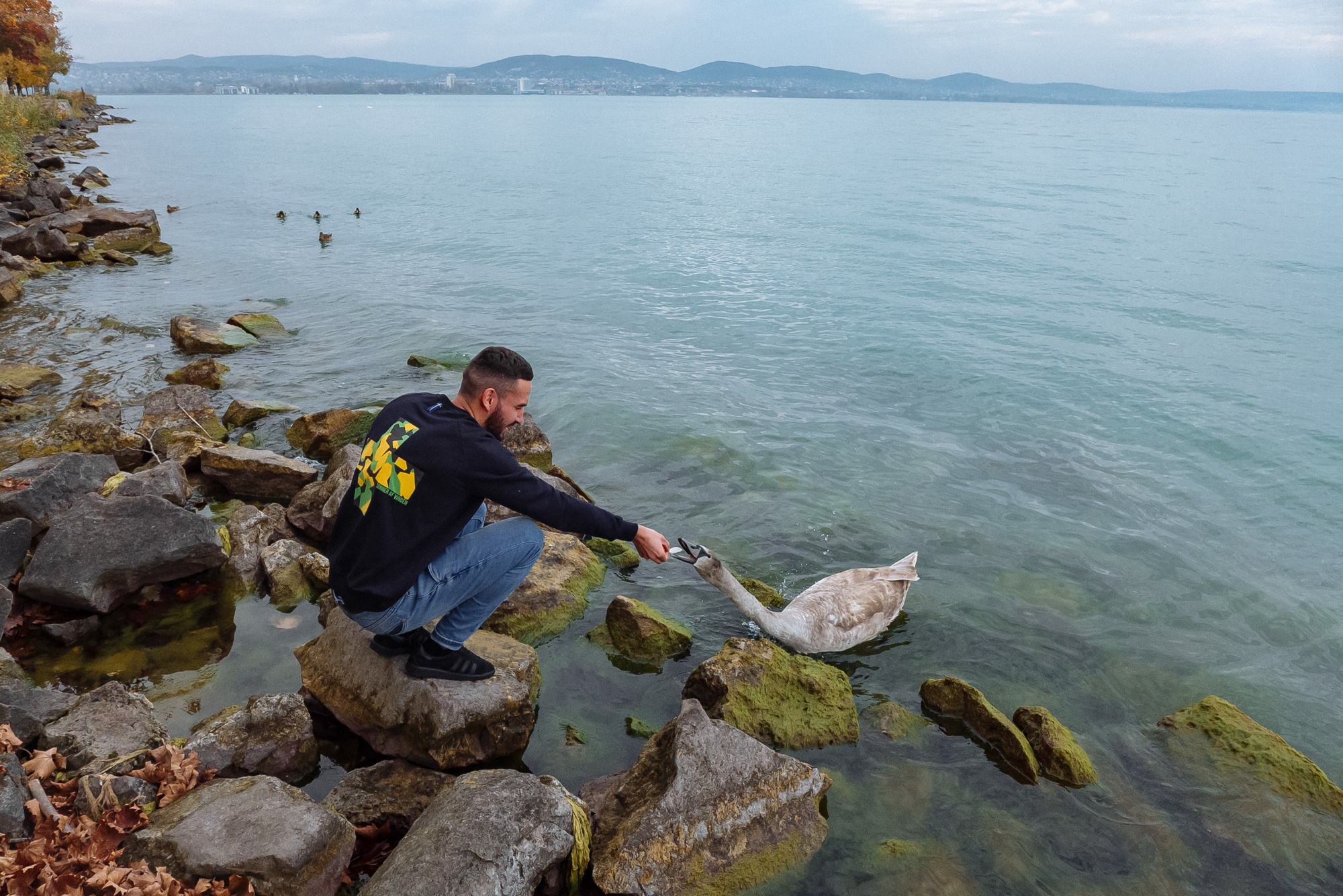 BudaPest & Prague. Свадебный фотограф Аня Милграм