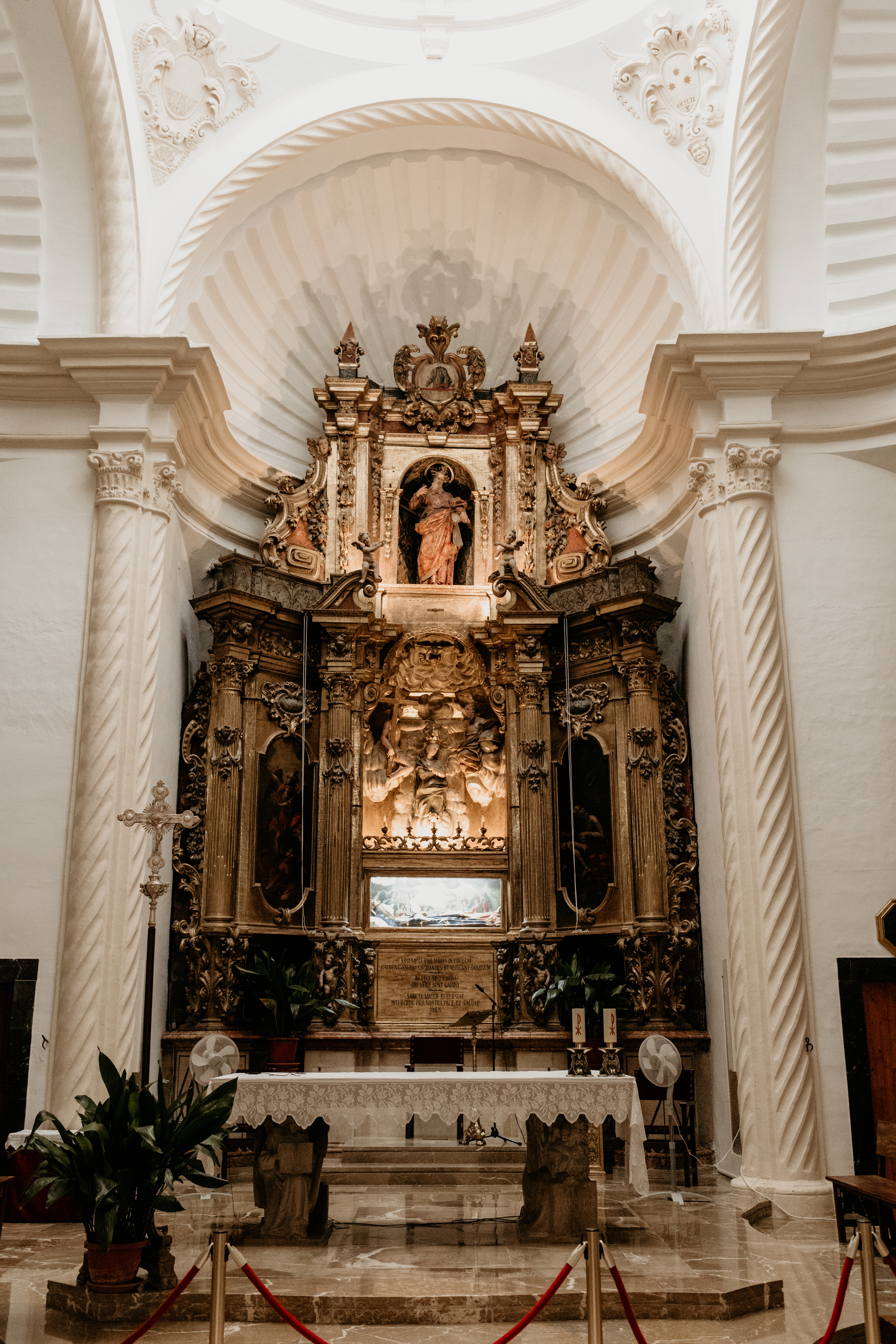 Valldemosa. Свадебный фотограф Аня Милграм