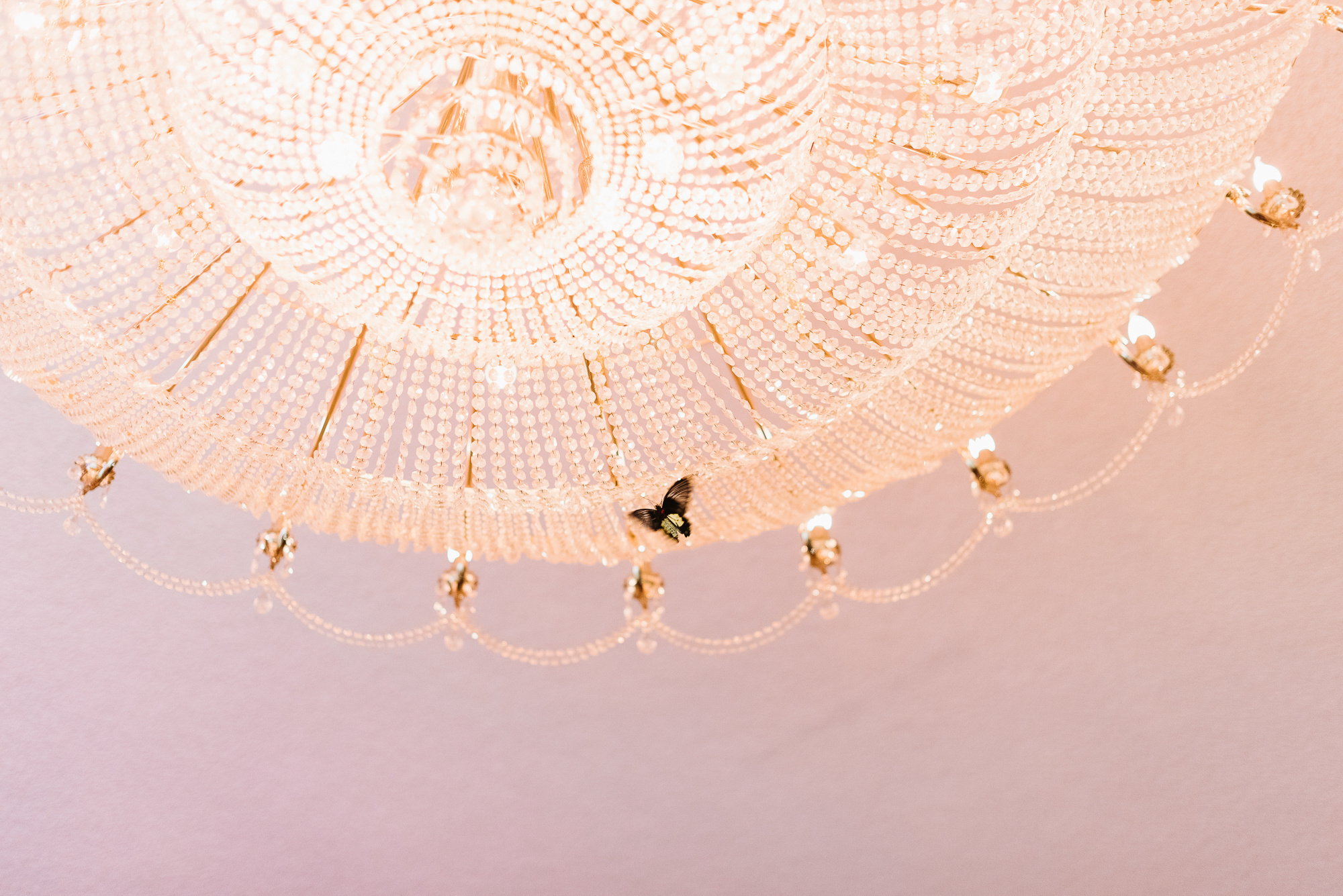 Kate & Svytoslav. Свадебный фотограф Аня Милграм