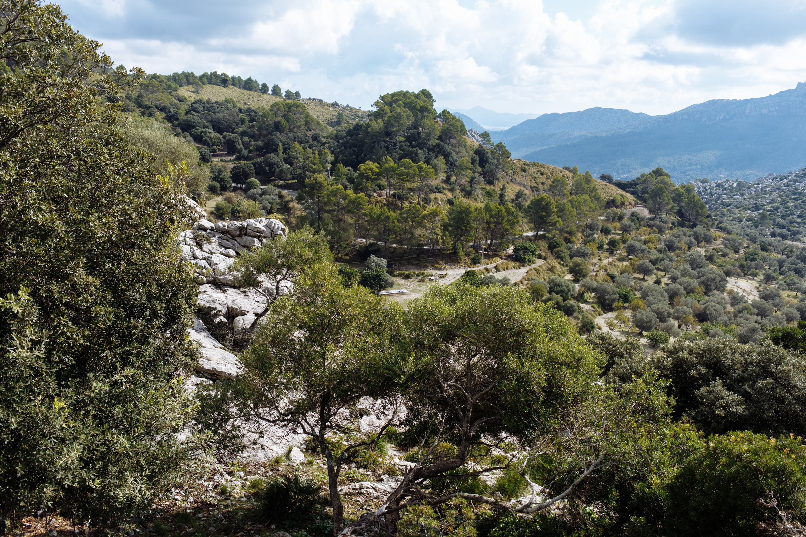 Way to Sa Calobra. Свадебный фотограф Аня Милграм