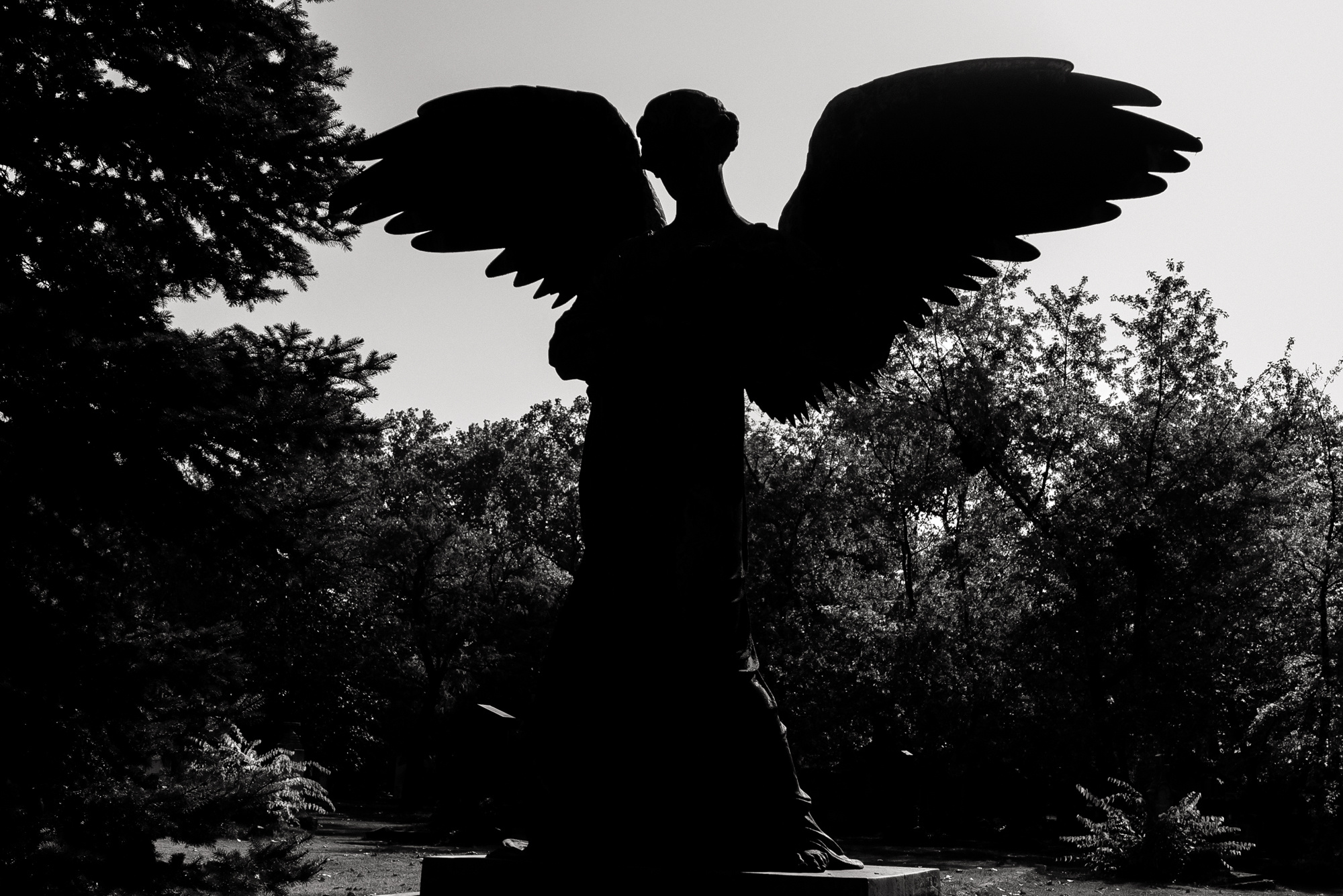 BudaPest & Prague. Свадебный фотограф Аня Милграм