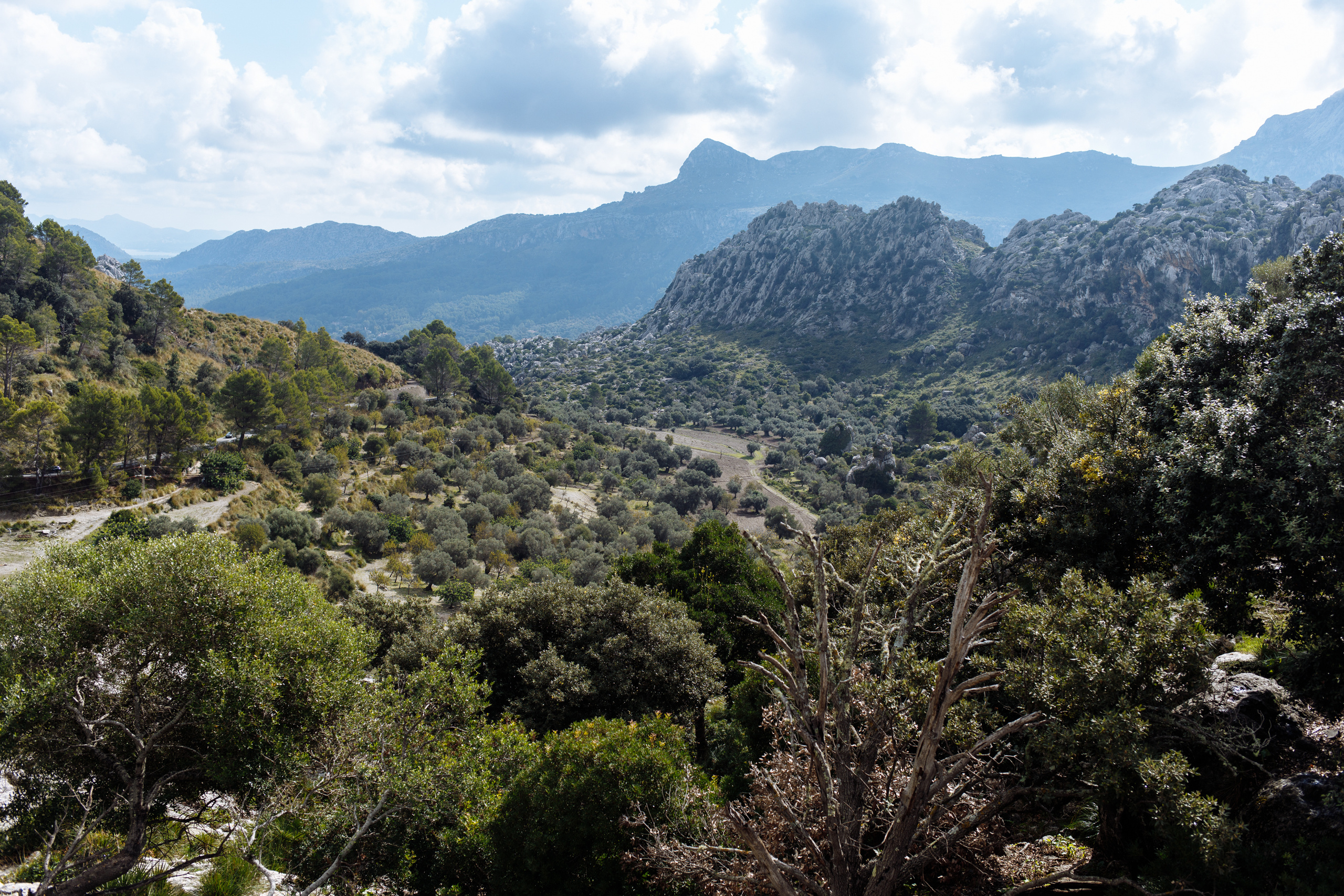 Way to Sa Calobra. Свадебный фотограф Аня Милграм