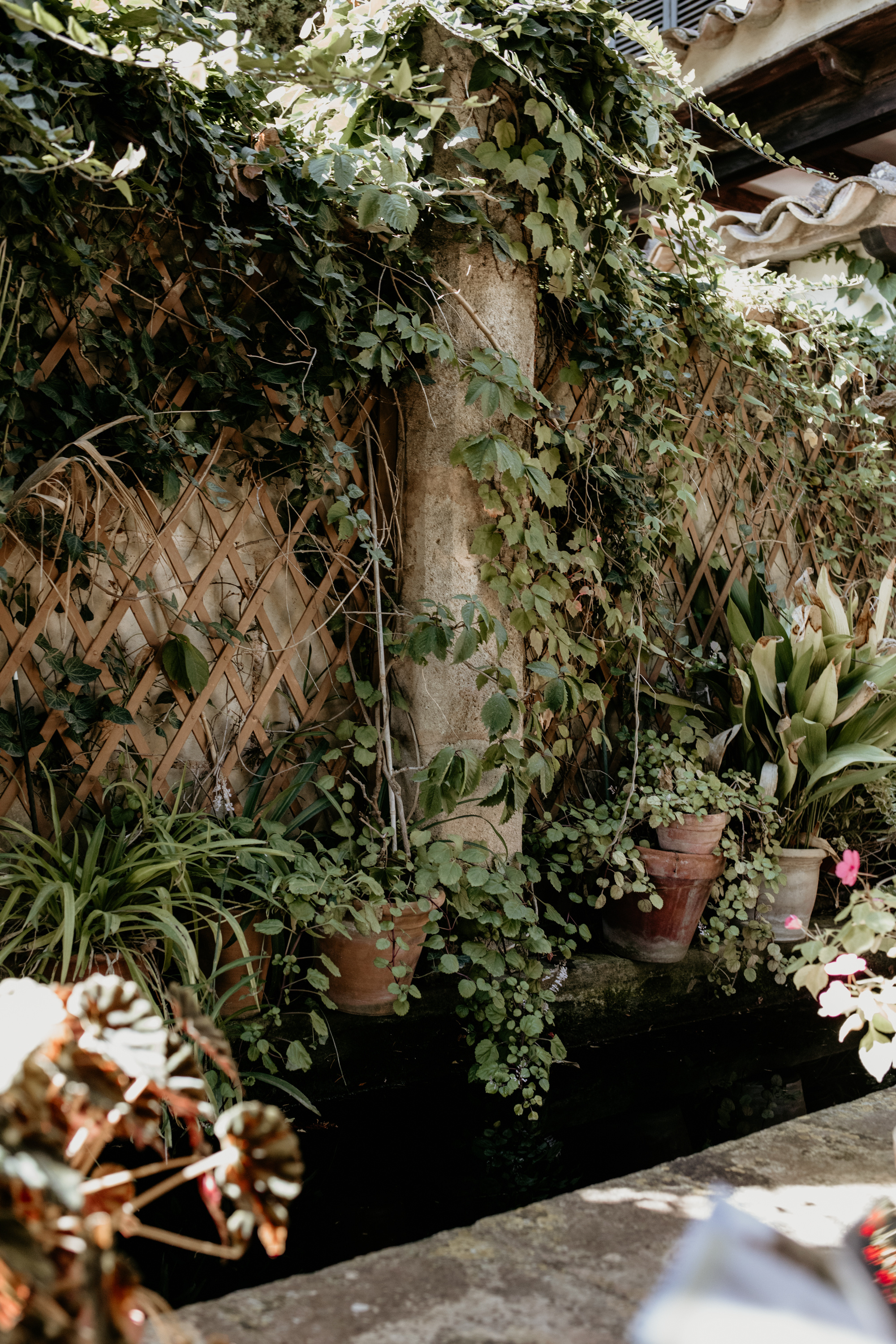 Valldemosa. Свадебный фотограф Аня Милграм