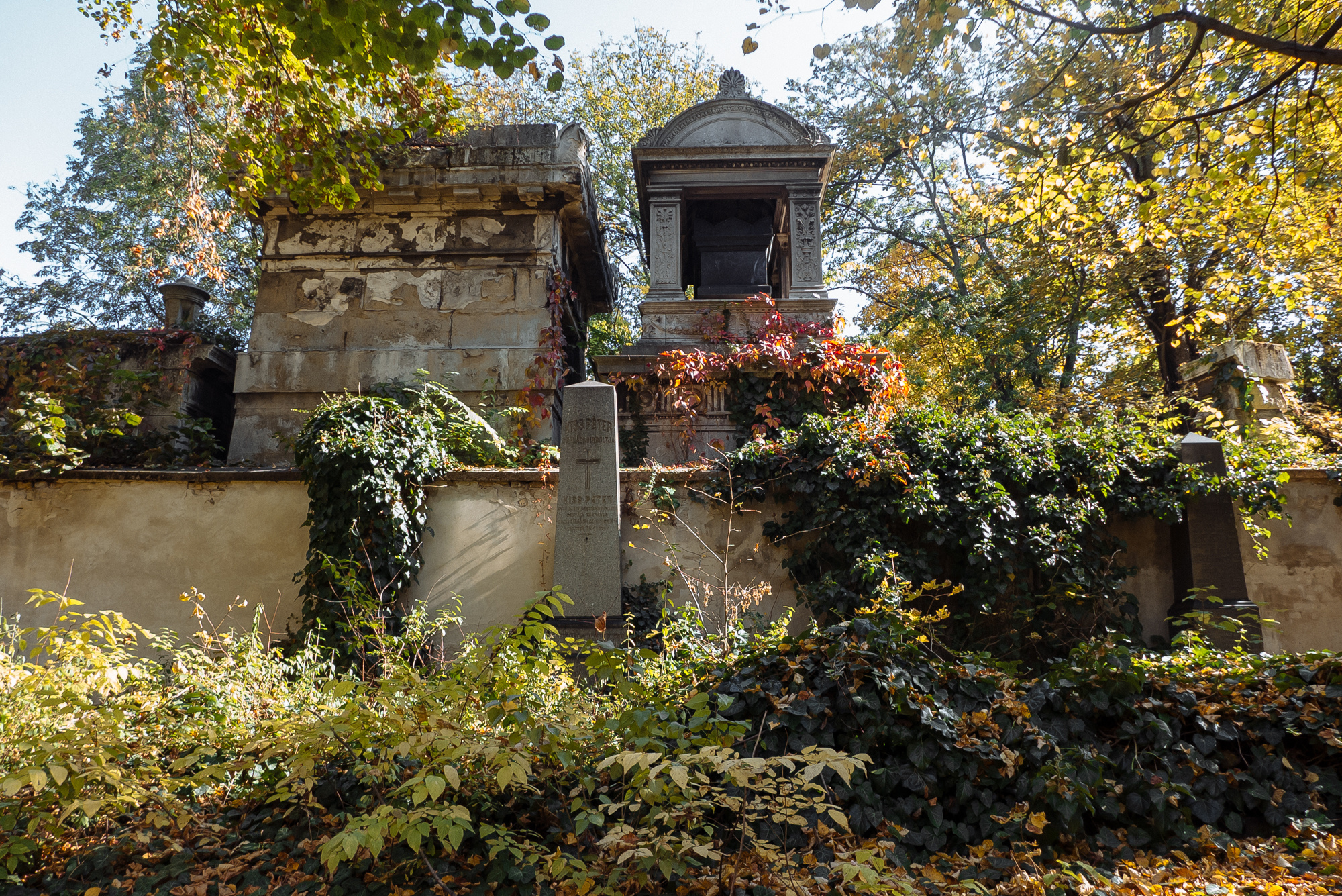 BudaPest & Prague. Свадебный фотограф Аня Милграм