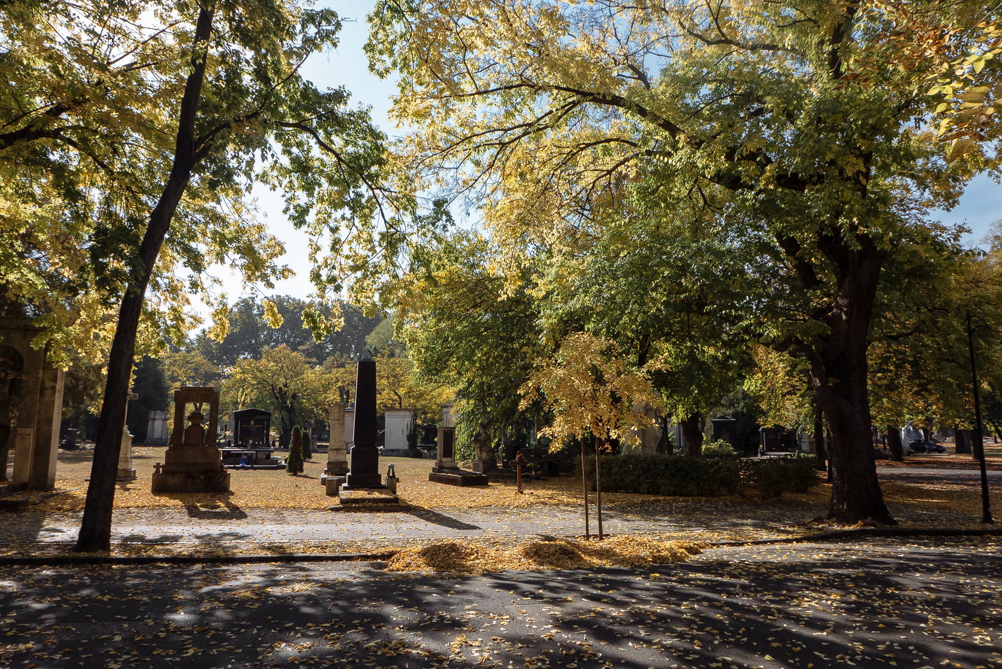 BudaPest & Prague. Свадебный фотограф Аня Милграм