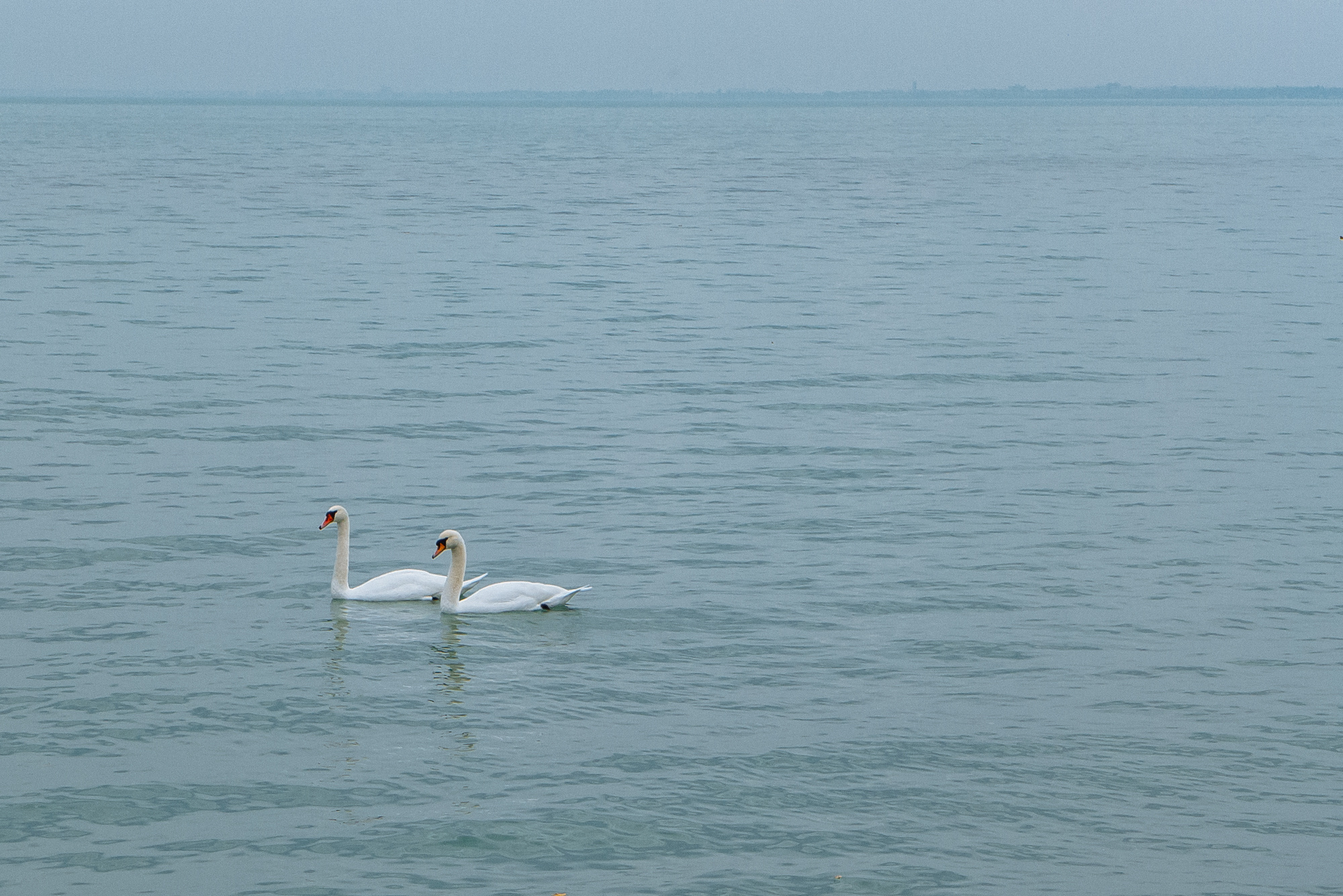 BudaPest & Prague. Свадебный фотограф Аня Милграм