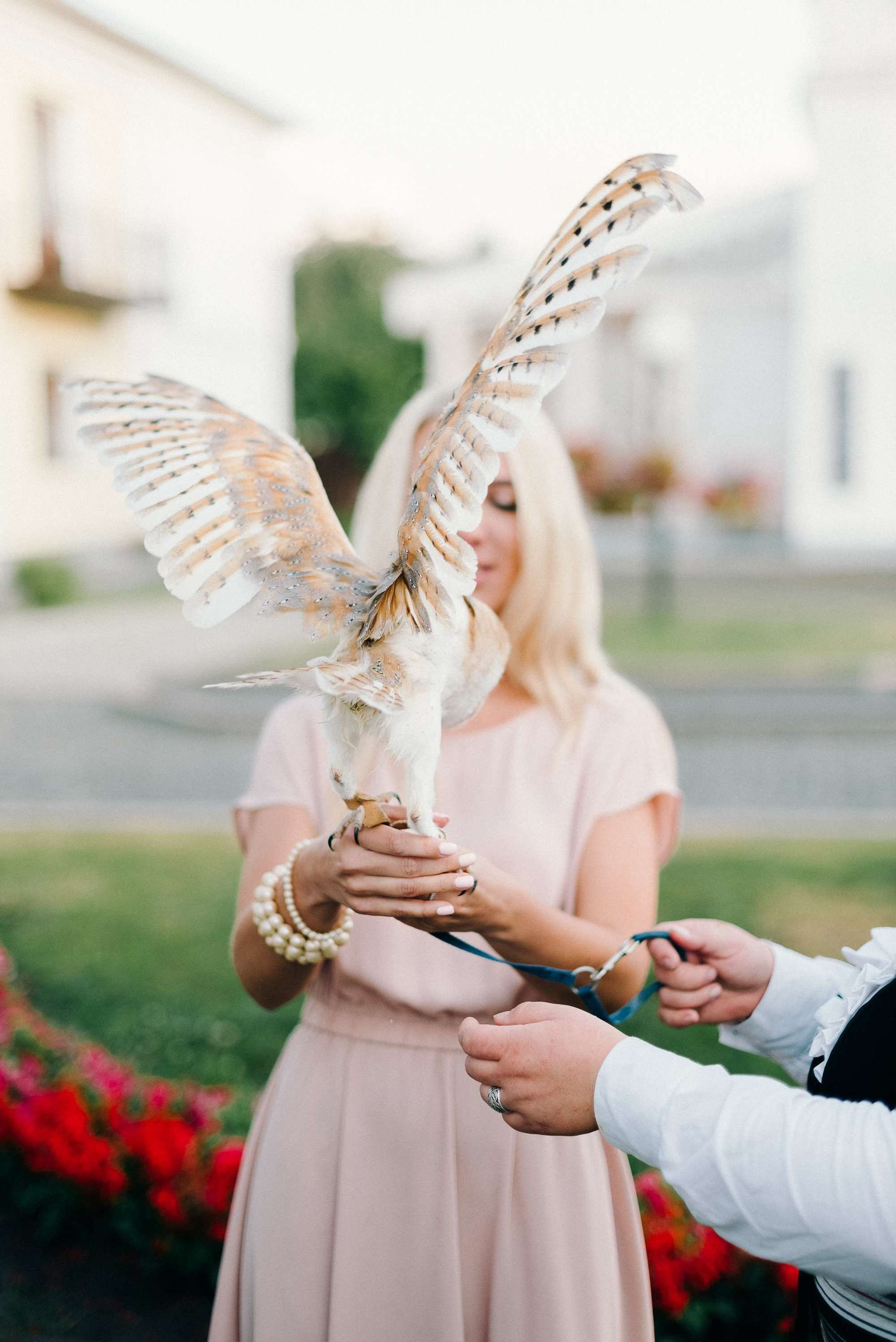 Boho wedding. Свадебный фотограф Аня Милграм