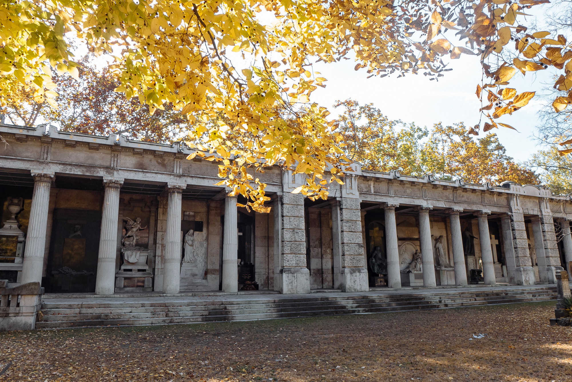 BudaPest & Prague. Свадебный фотограф Аня Милграм