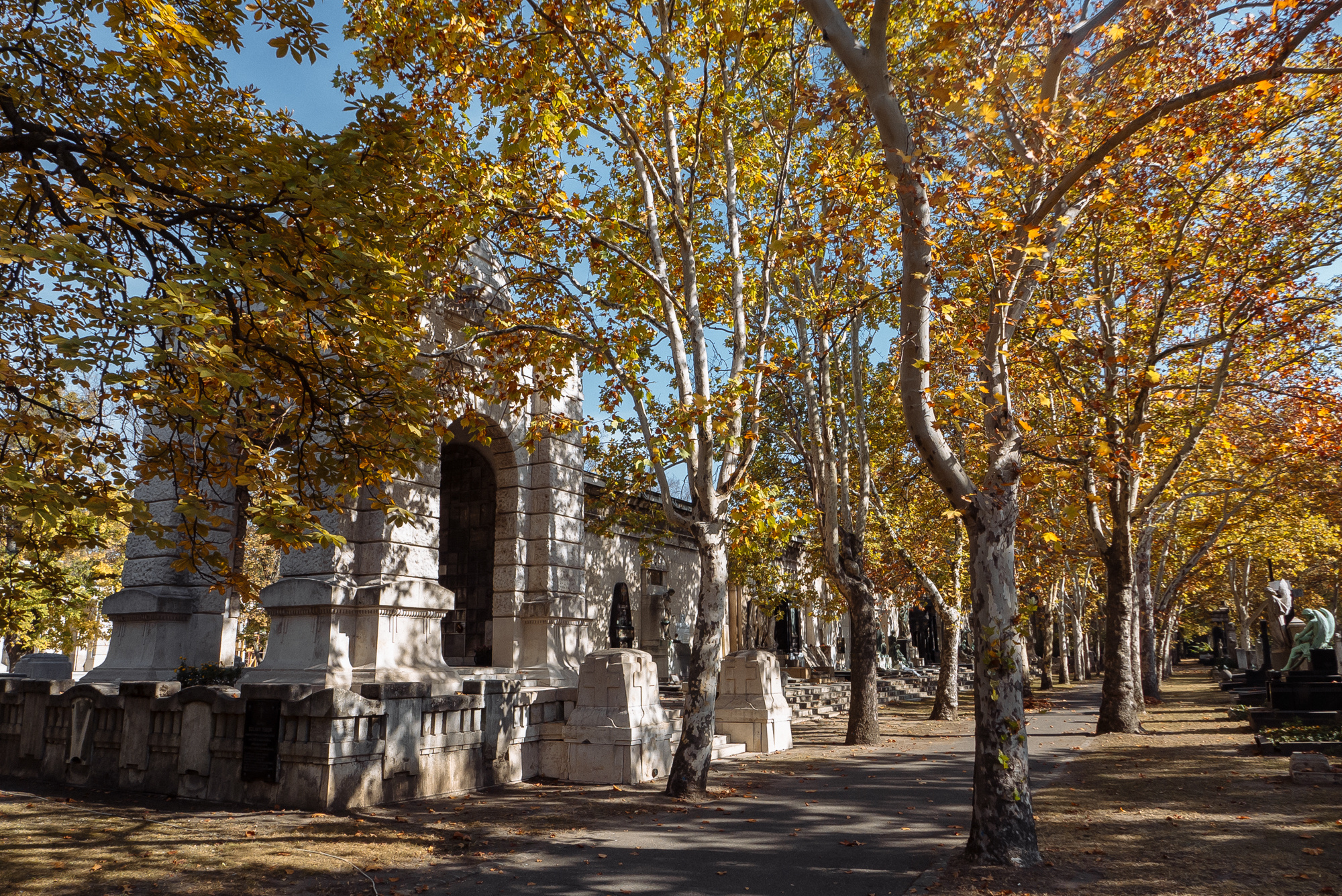 BudaPest & Prague. Свадебный фотограф Аня Милграм