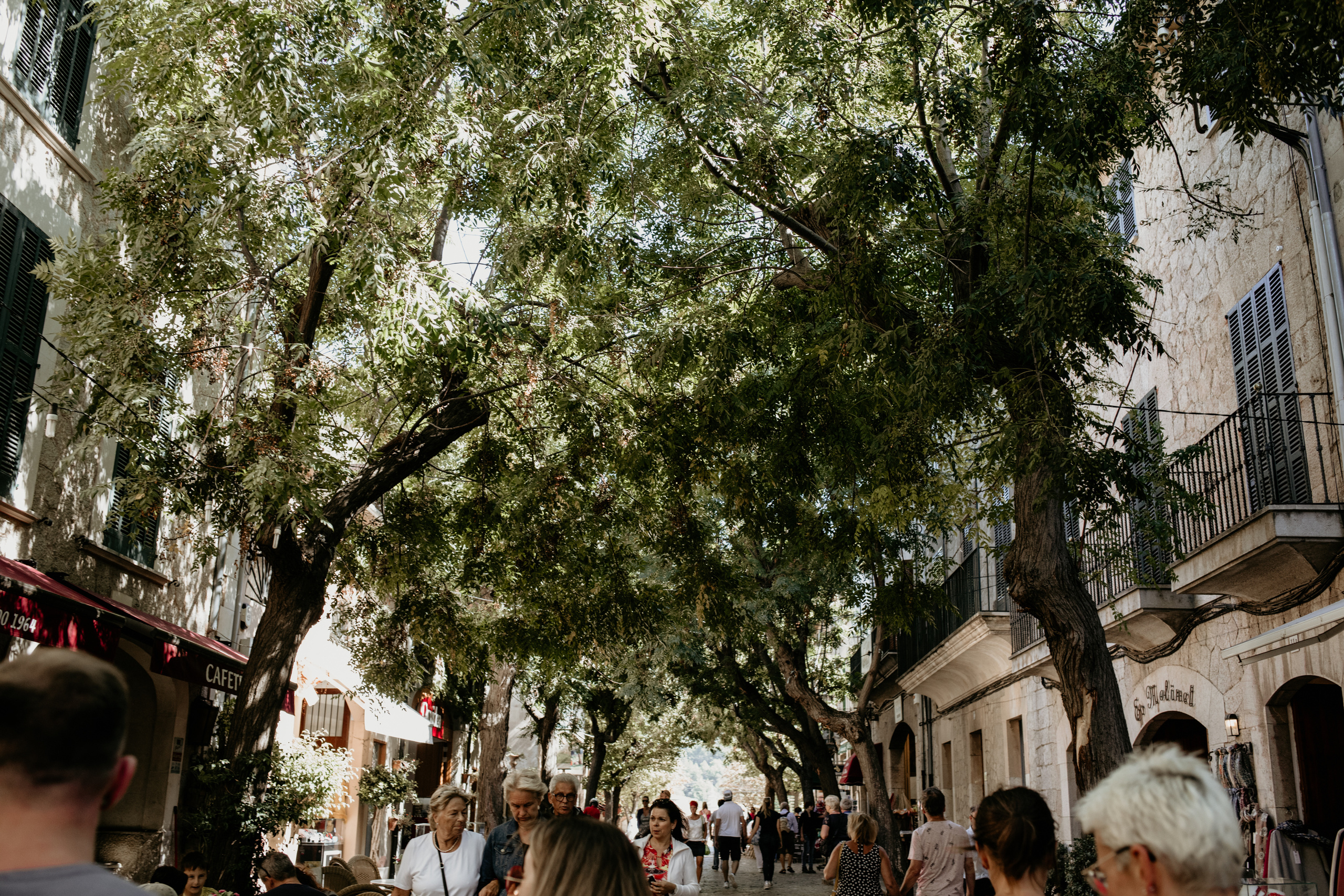 Valldemosa. Свадебный фотограф Аня Милграм