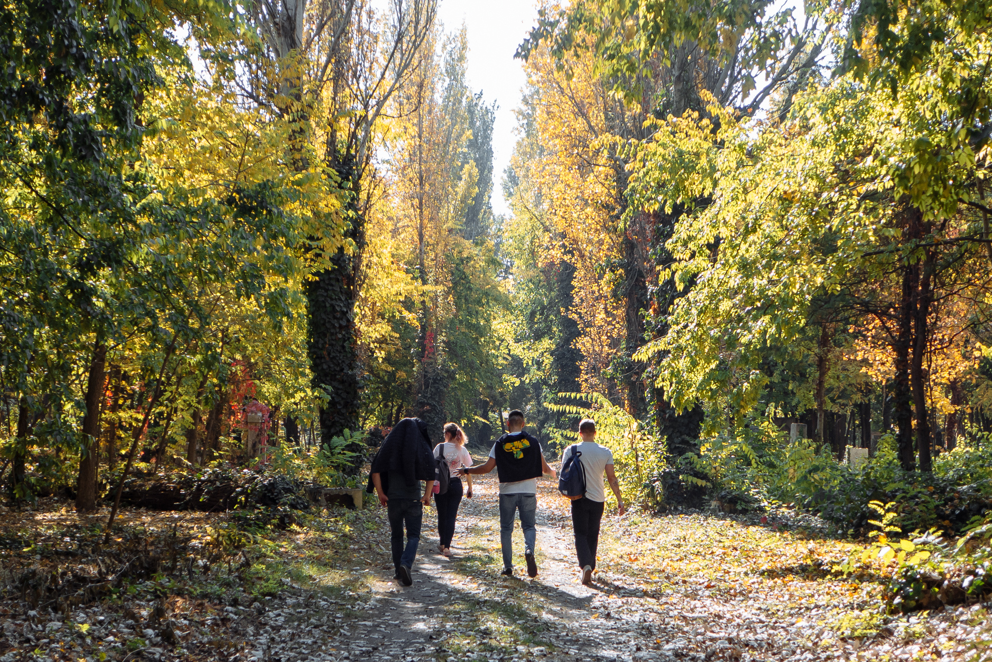 BudaPest & Prague. Свадебный фотограф Аня Милграм