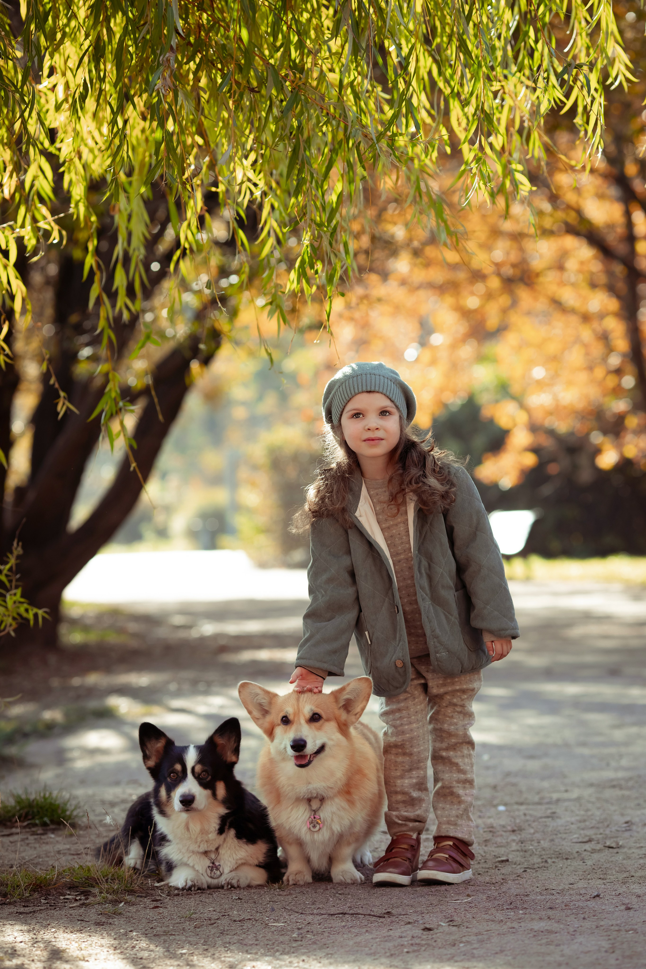 Эва с корги. Семейный и детский фотограф в Москве Дорогова Екатерина