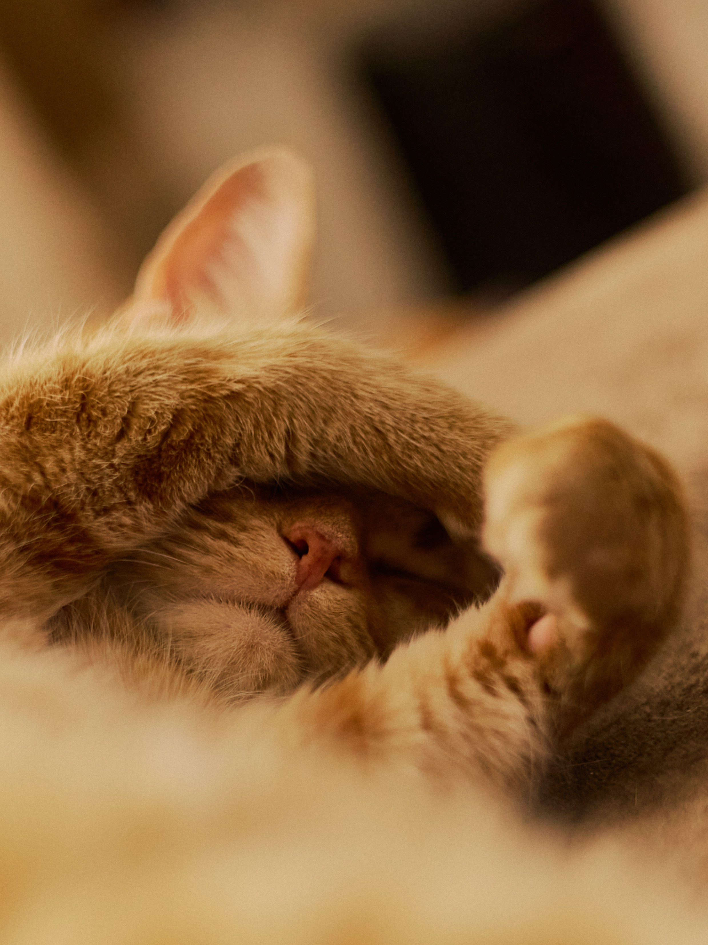 Диптих. Jorgis — фотограф в Хургаде / обучение фотографии