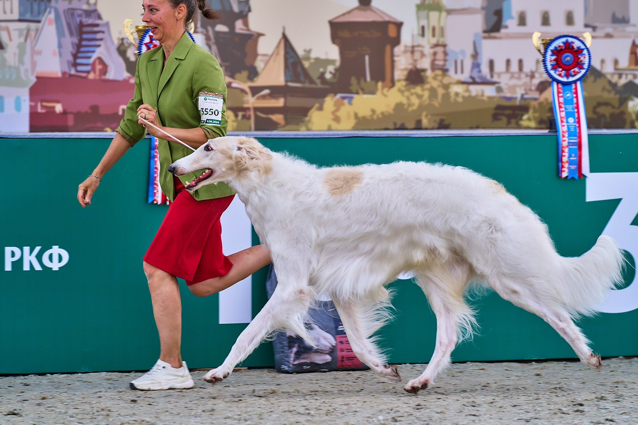 08.06.2024 «РОССИЯ. КУБОК РКФ 2024»