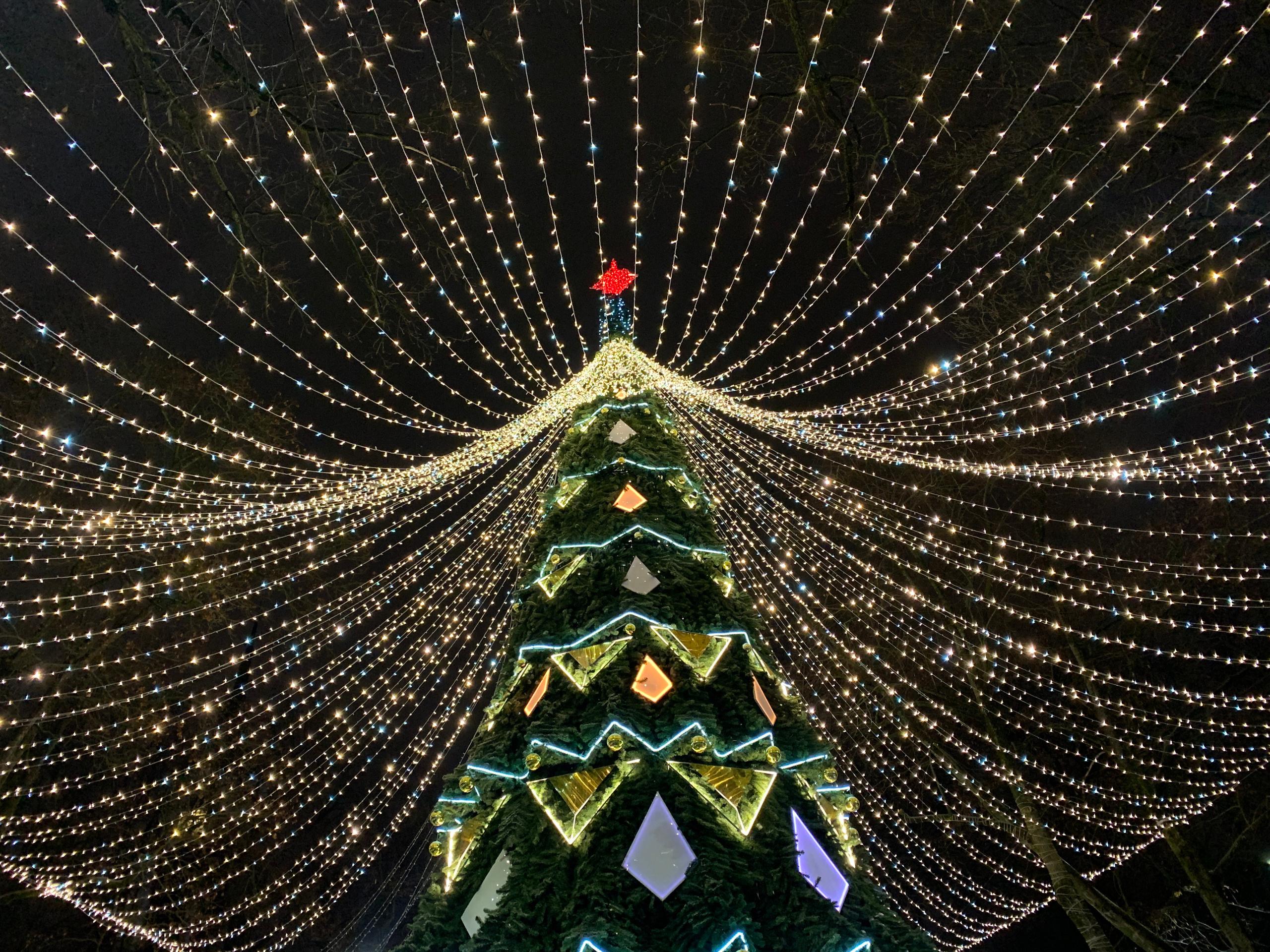 Новогодняя Калуга. Калужский городской фотоконкурс