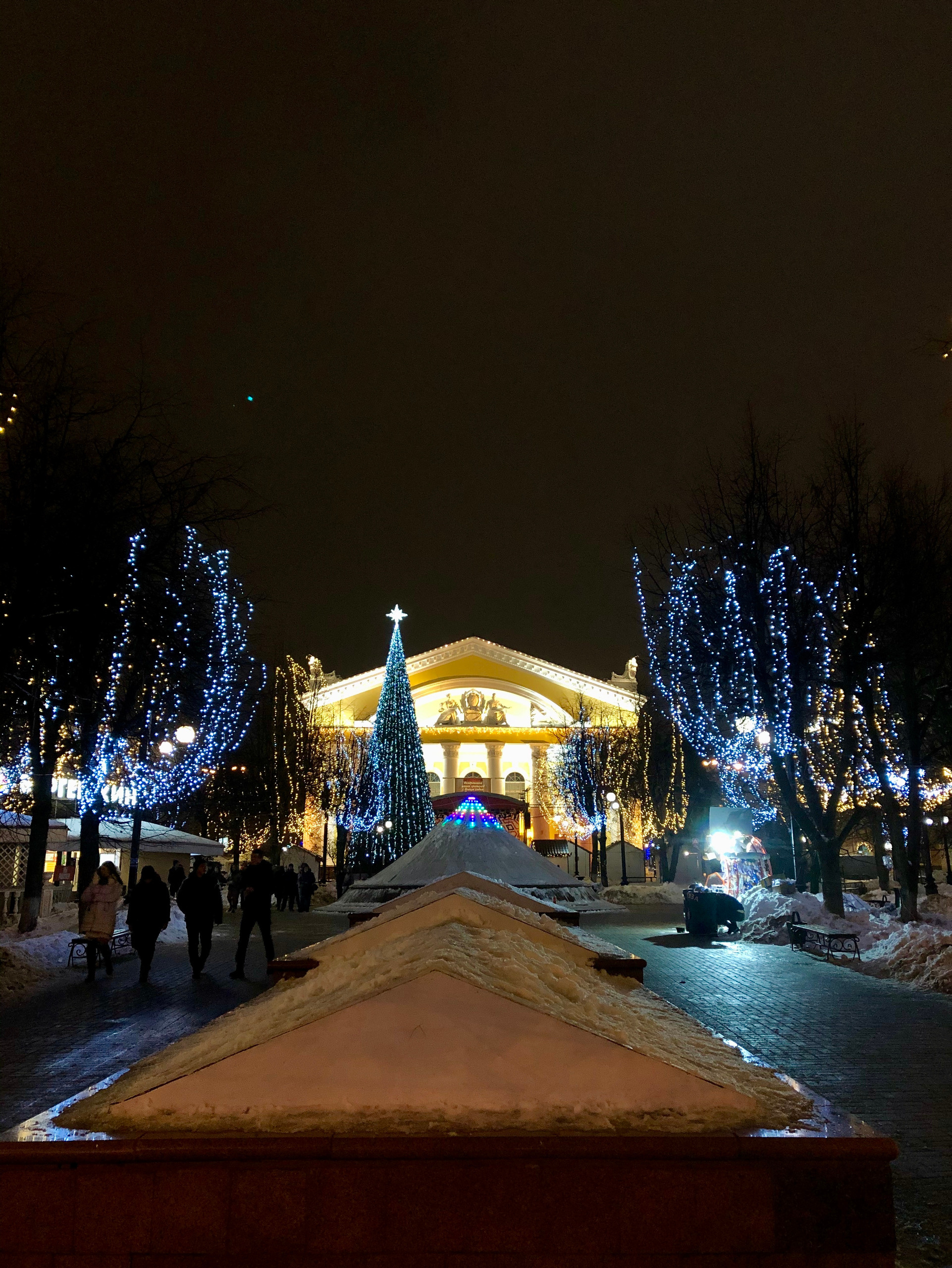 Новогодняя Калуга. Калужский городской фотоконкурс