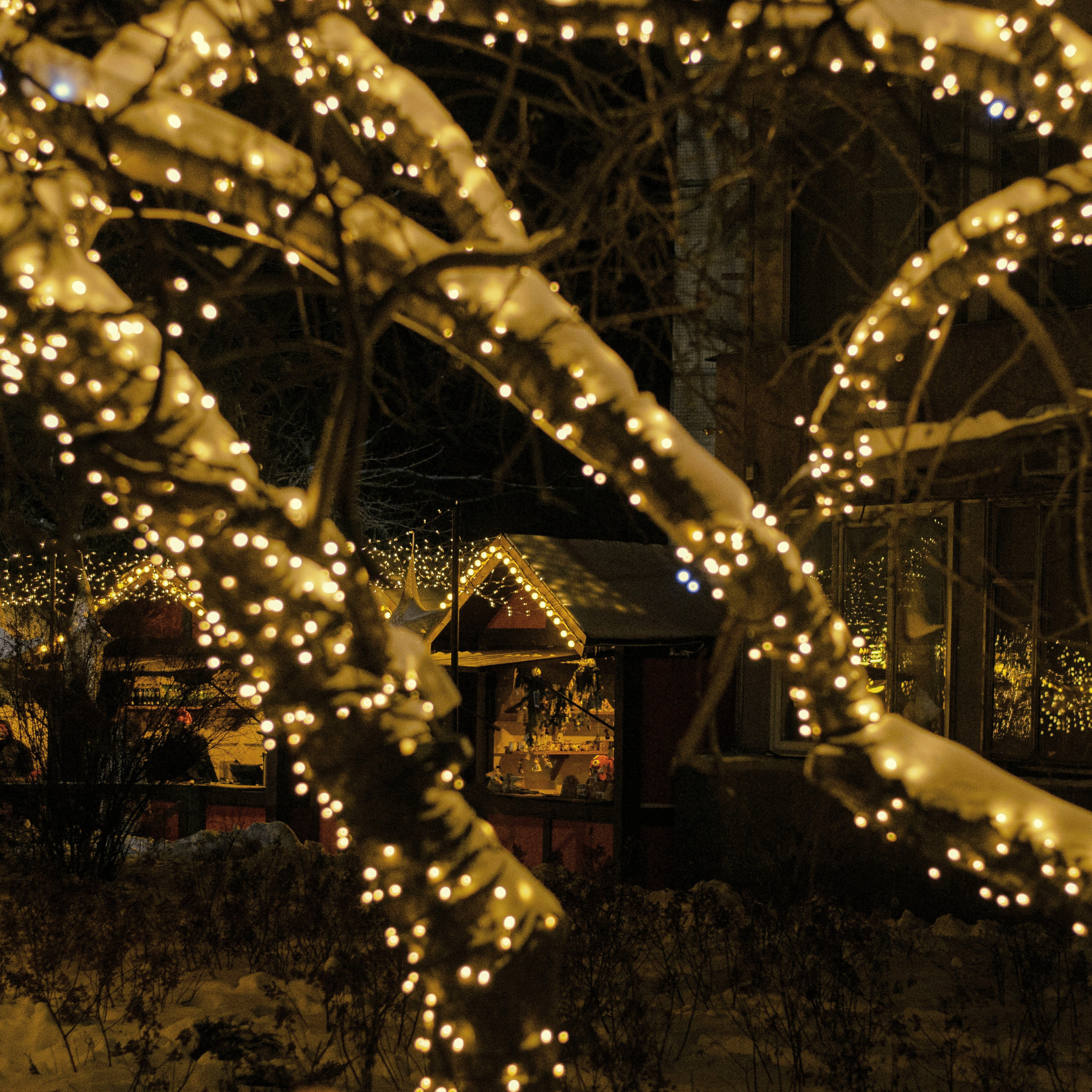 Новогодняя Калуга. Калужский городской фотоконкурс