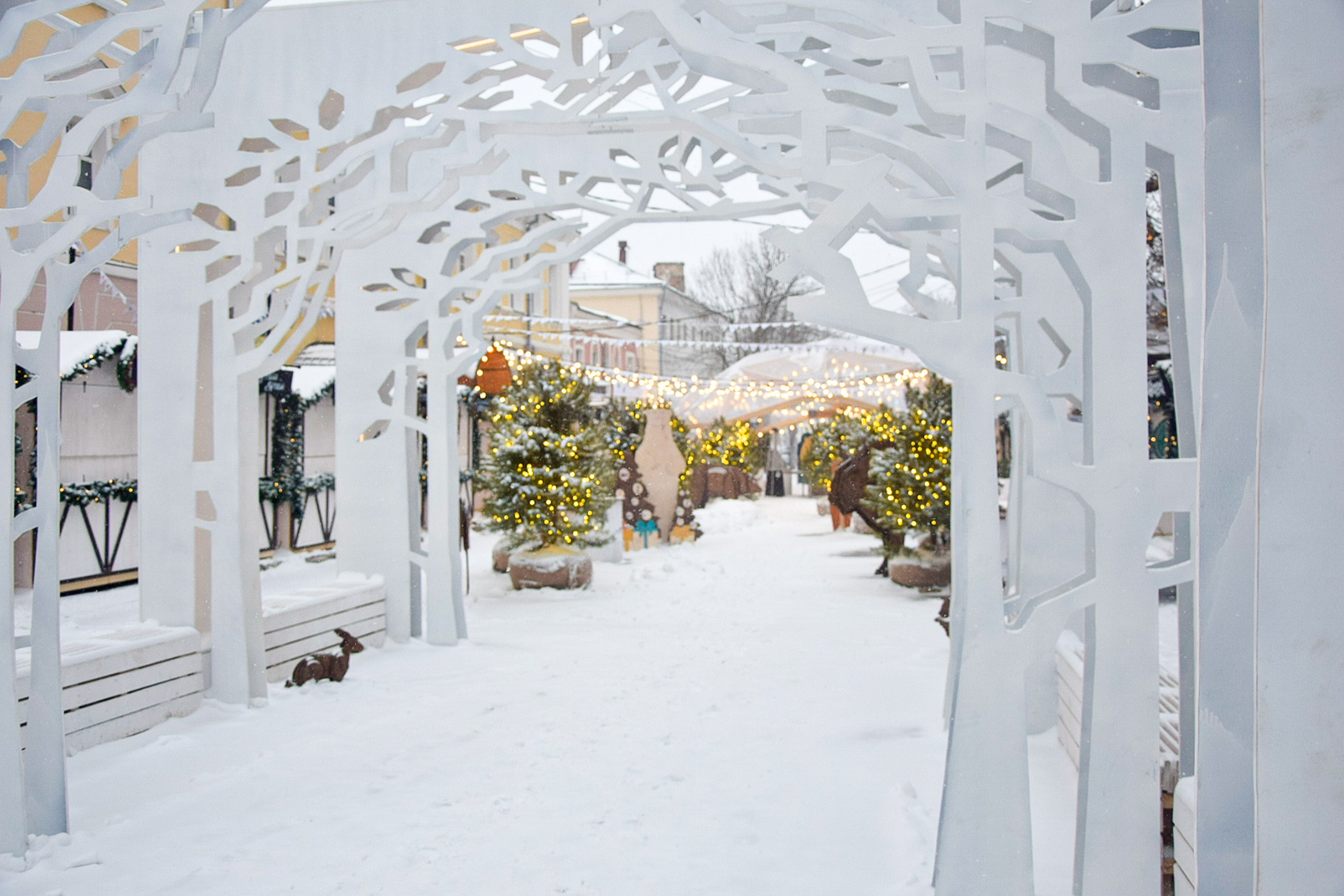 Новогодняя Калуга. Калужский городской фотоконкурс