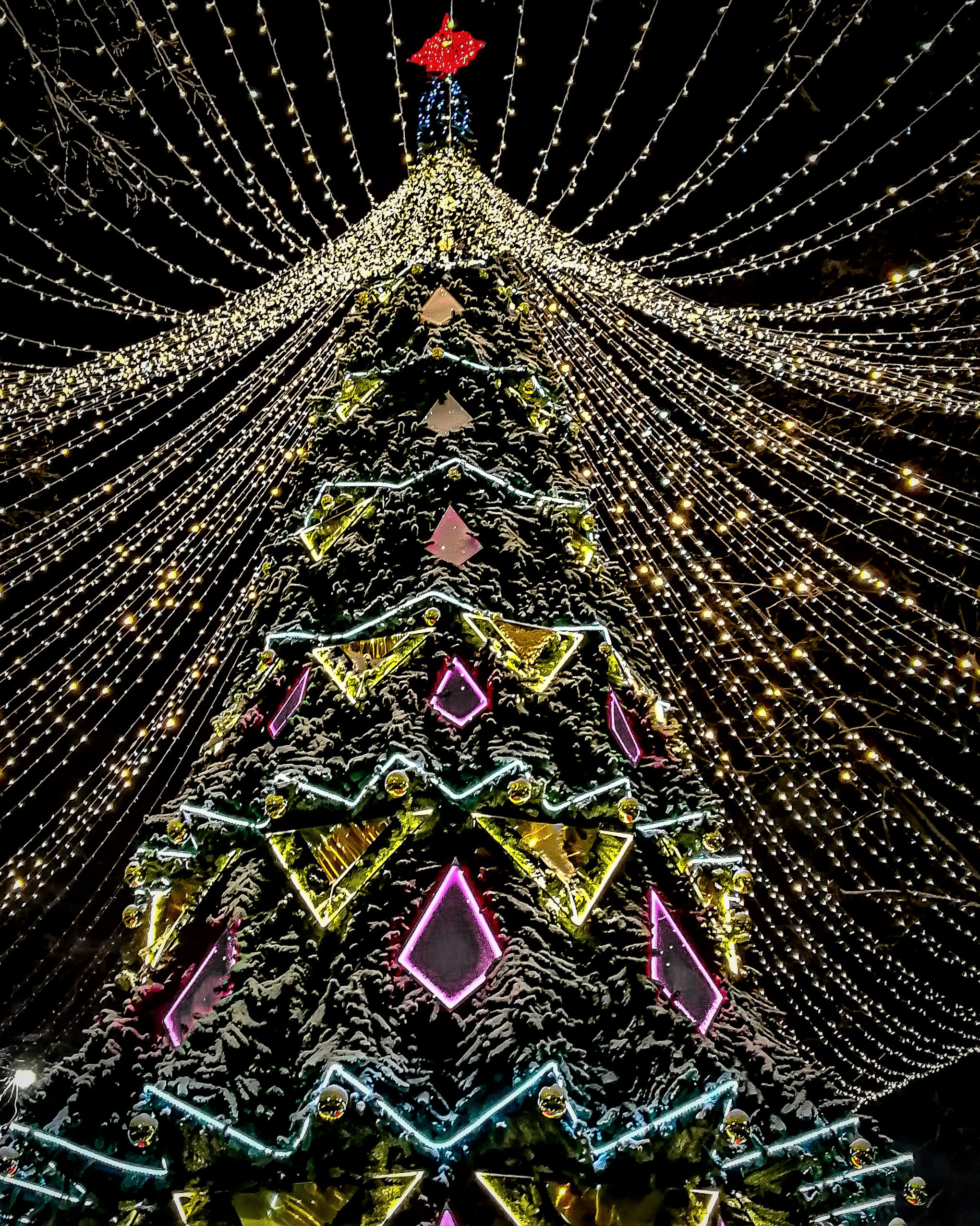 Новогодняя Калуга. Калужский городской фотоконкурс