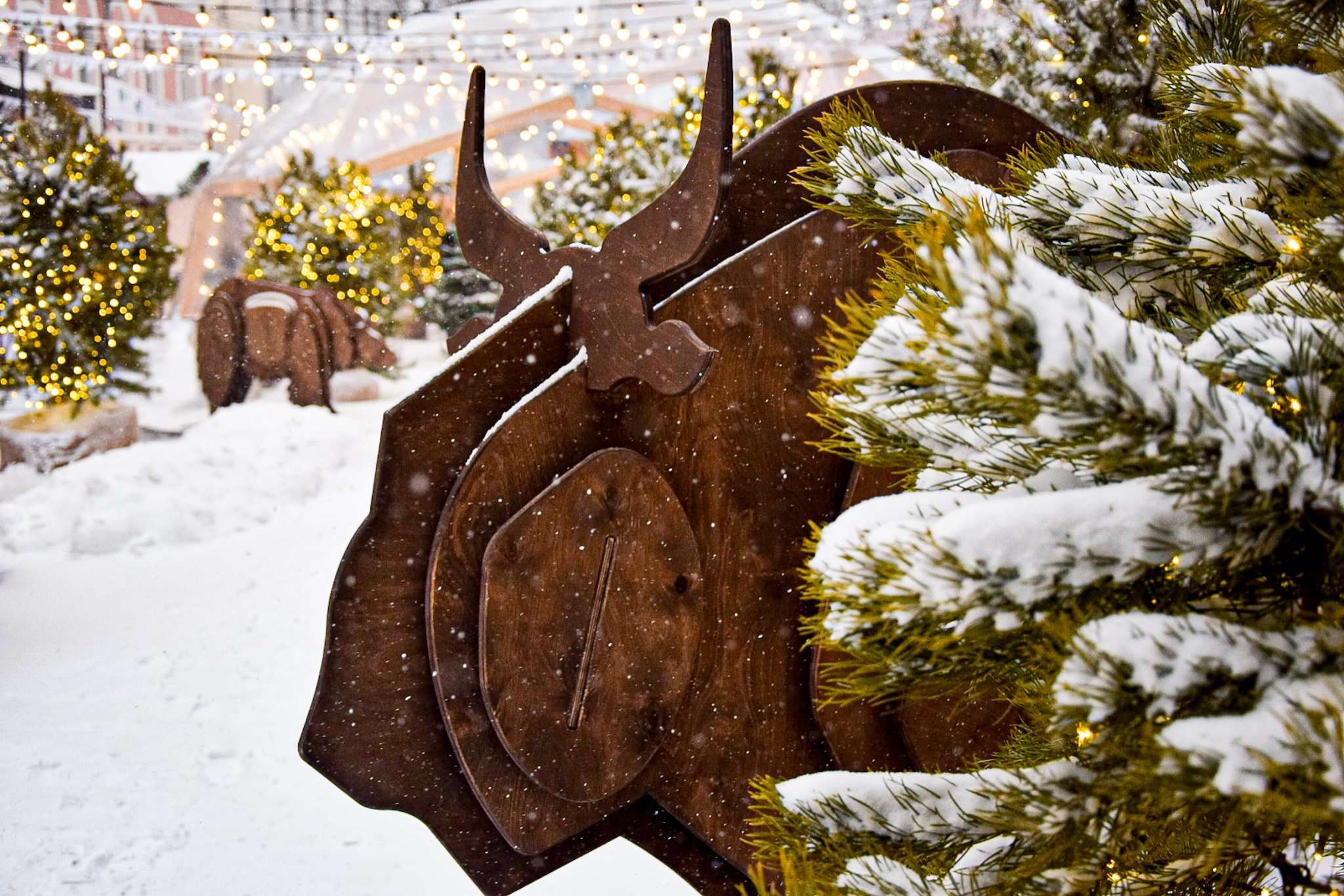 Новогодняя Калуга. Калужский городской фотоконкурс