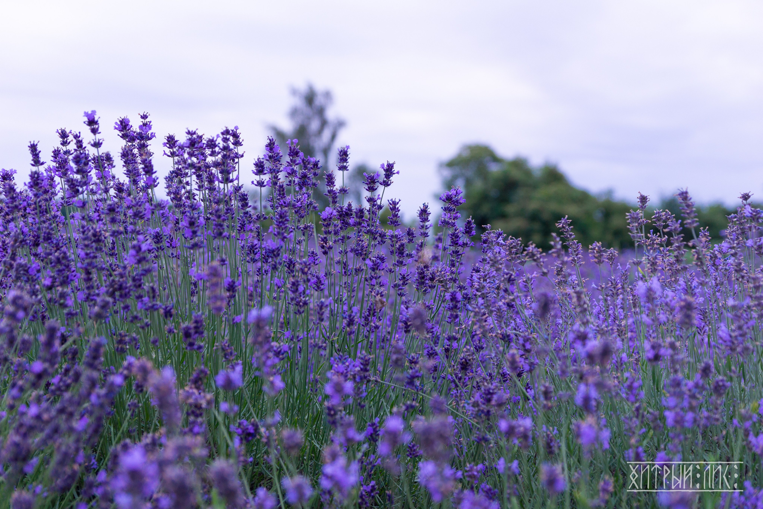 Беларусь. Фотограф-путешественник Самойлов Максим «Sly Fox»