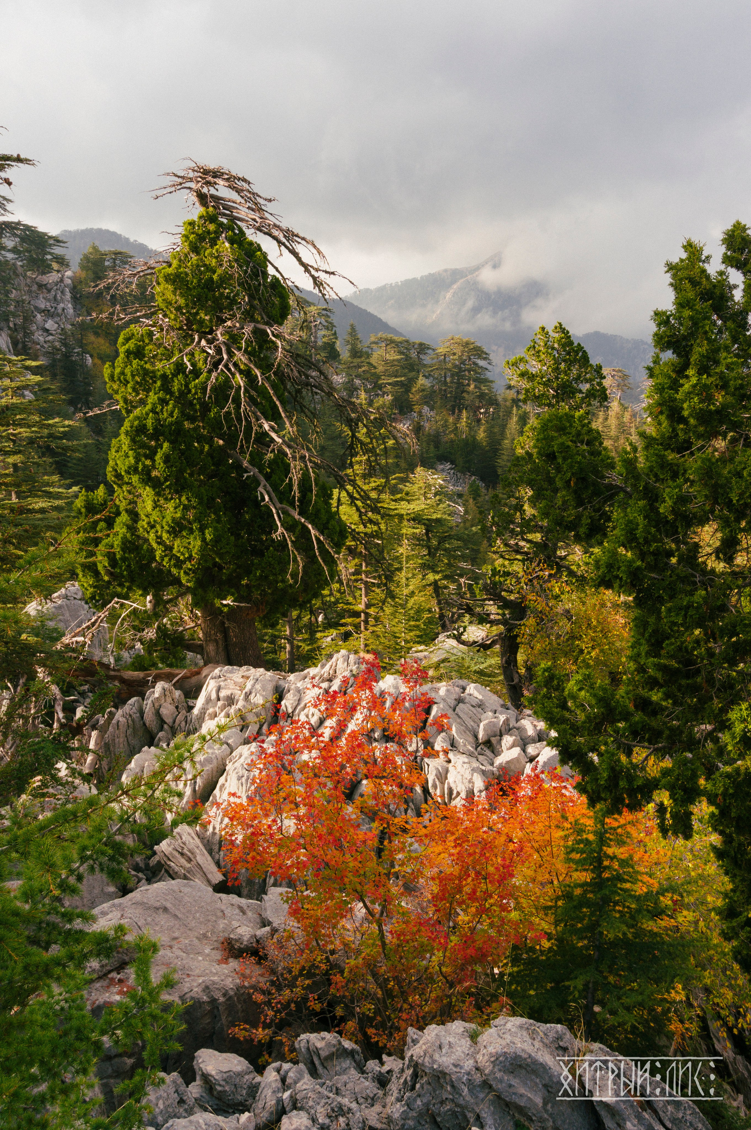 Турция. Ликийский путь. Фотограф-путешественник Самойлов Максим «Sly Fox»