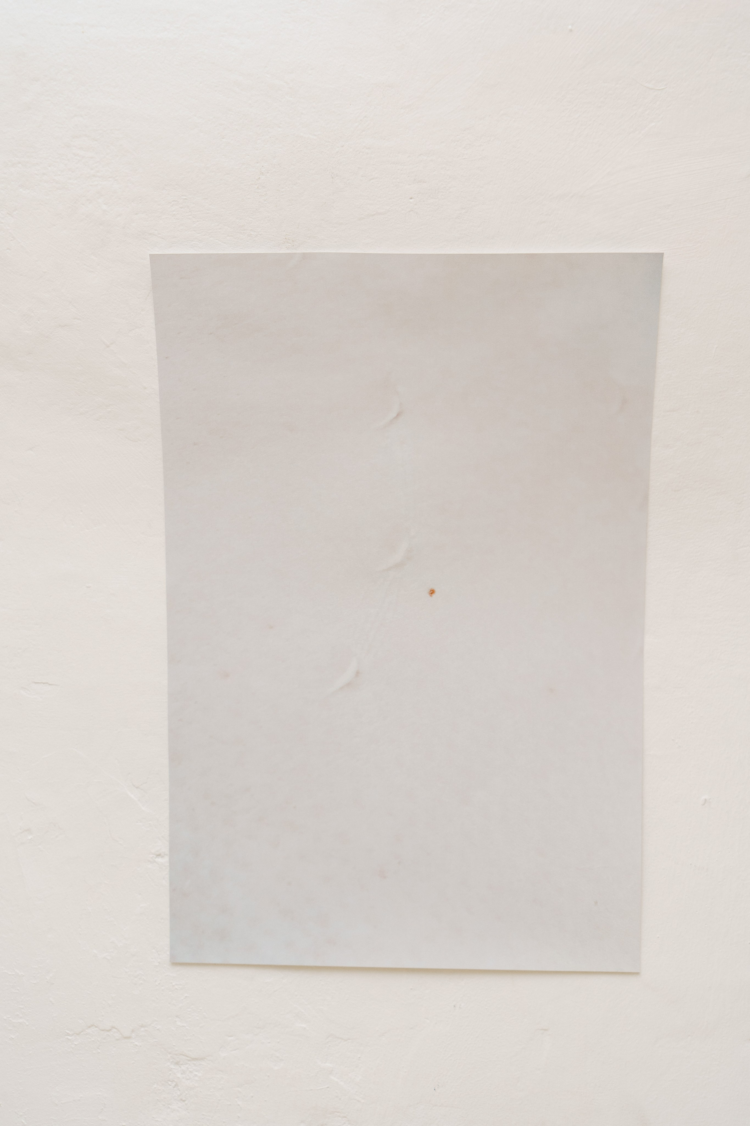 Эффект присутствия. Козлова Екатерина. Междисциплинарная визуальная художница