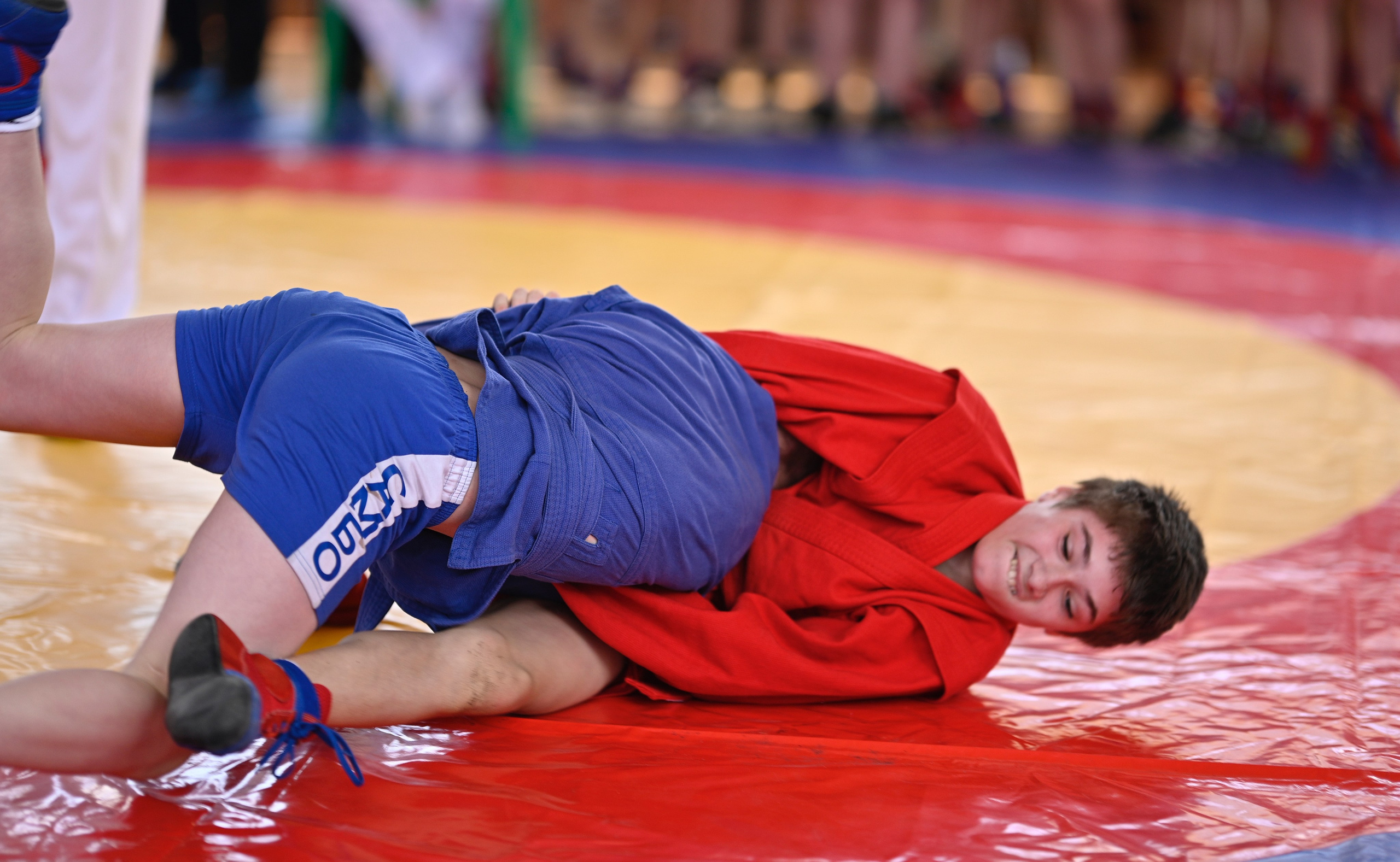 Самбо. Фотограф Ваших событий 📸