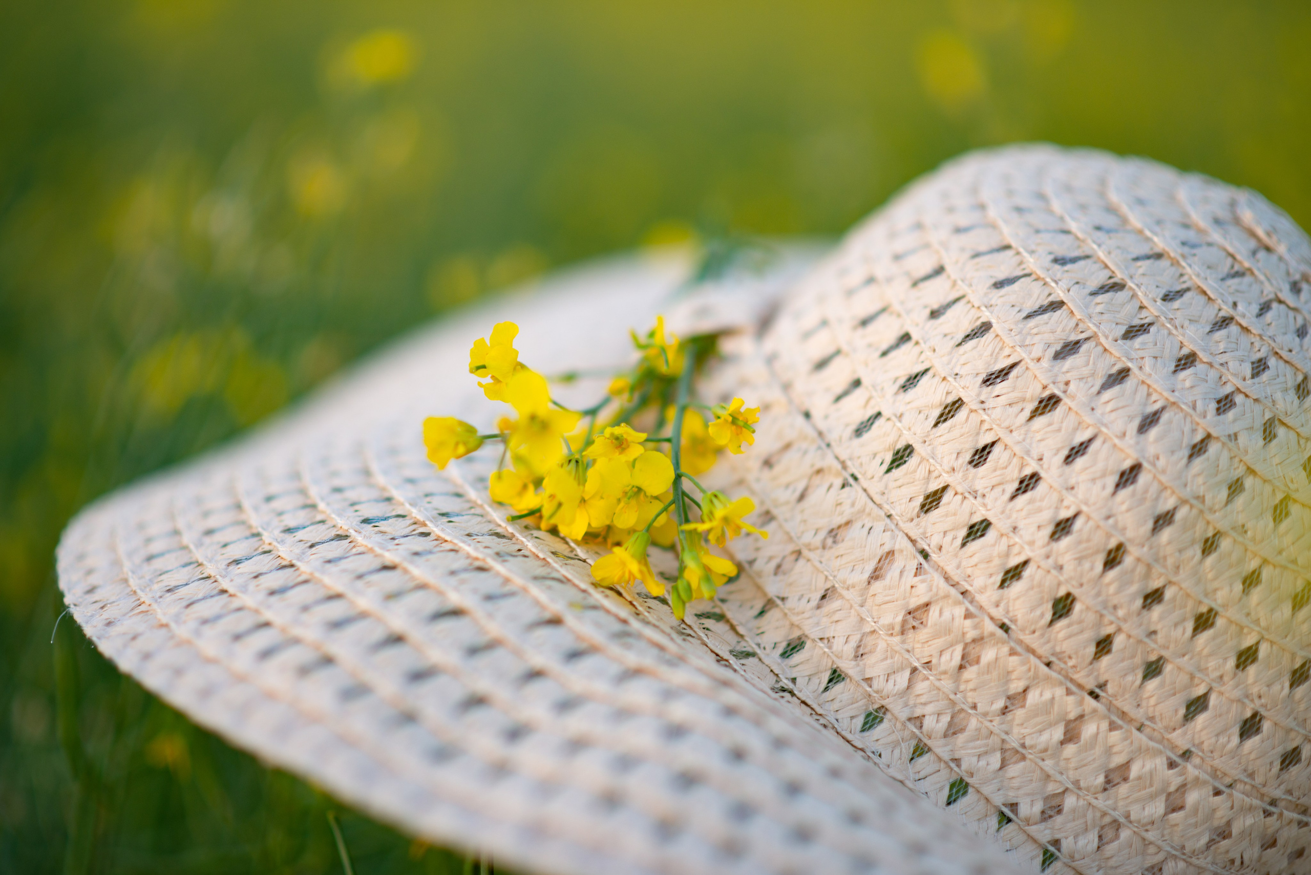 Ольга. Фотограф Софья Власенко | Вологда