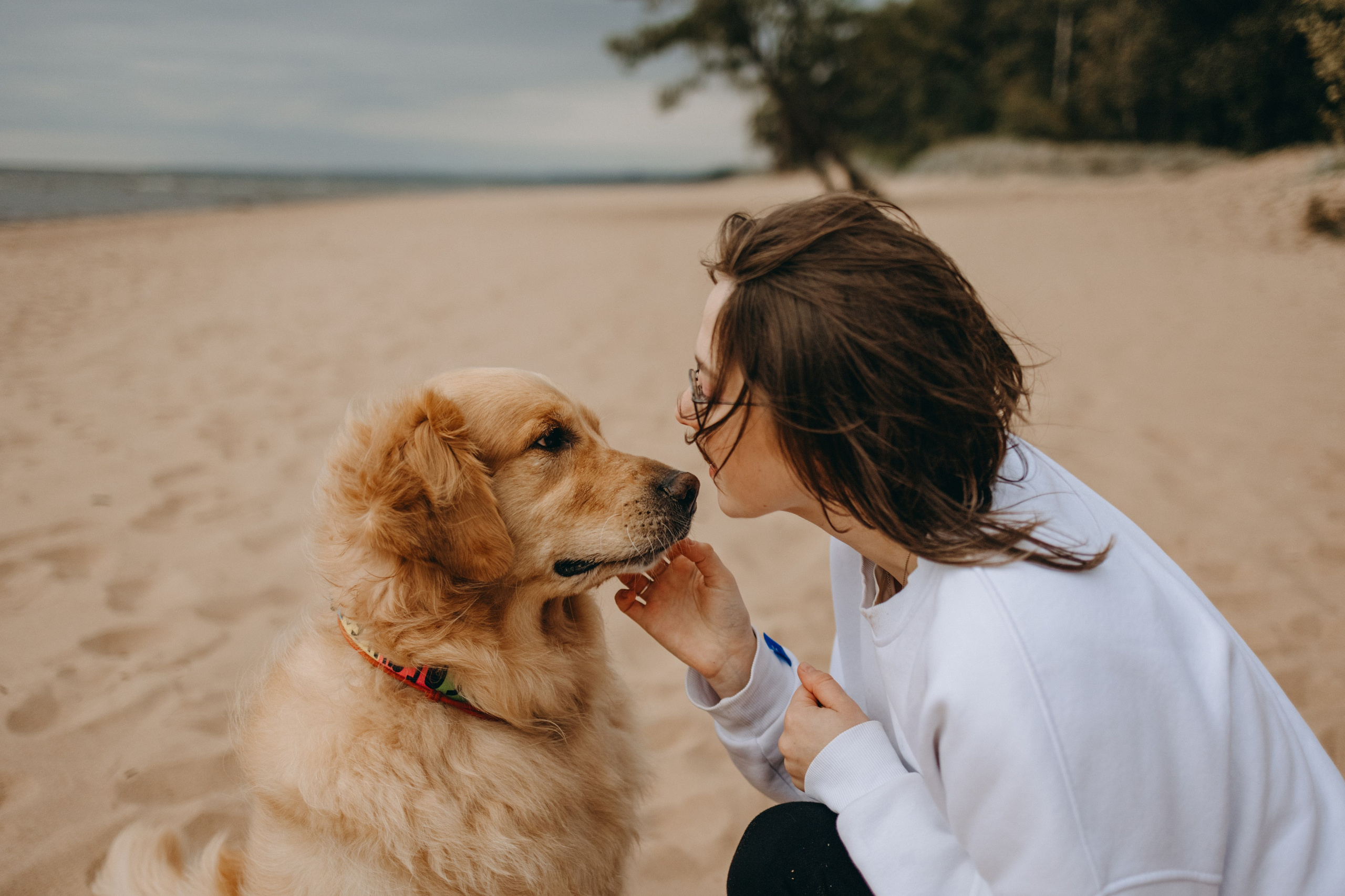 Фоси и его семьи. Фотограф — Анималист | Санкт-Петербург
