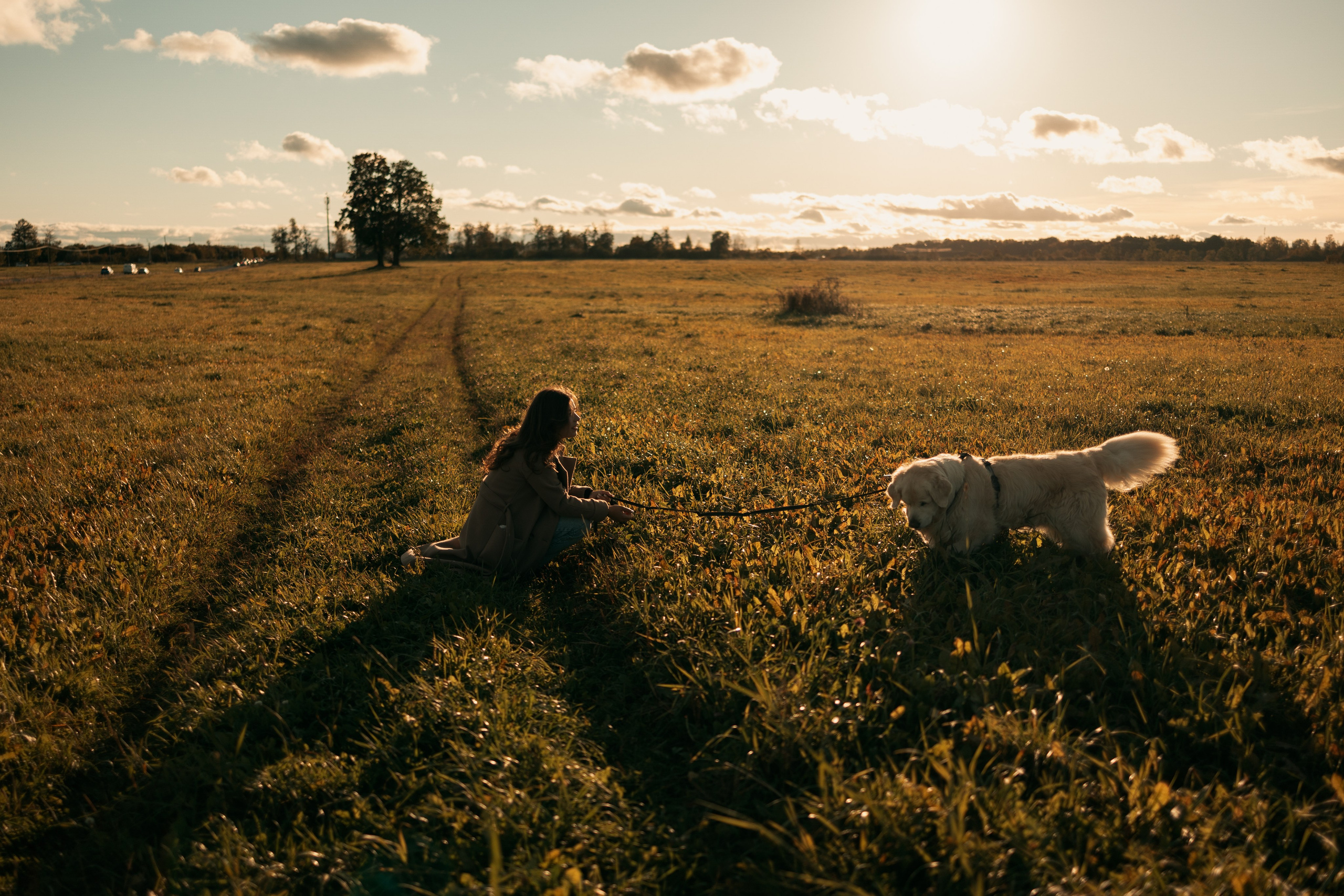 Лера и Скай. Фотограф — Анималист | Санкт-Петербург