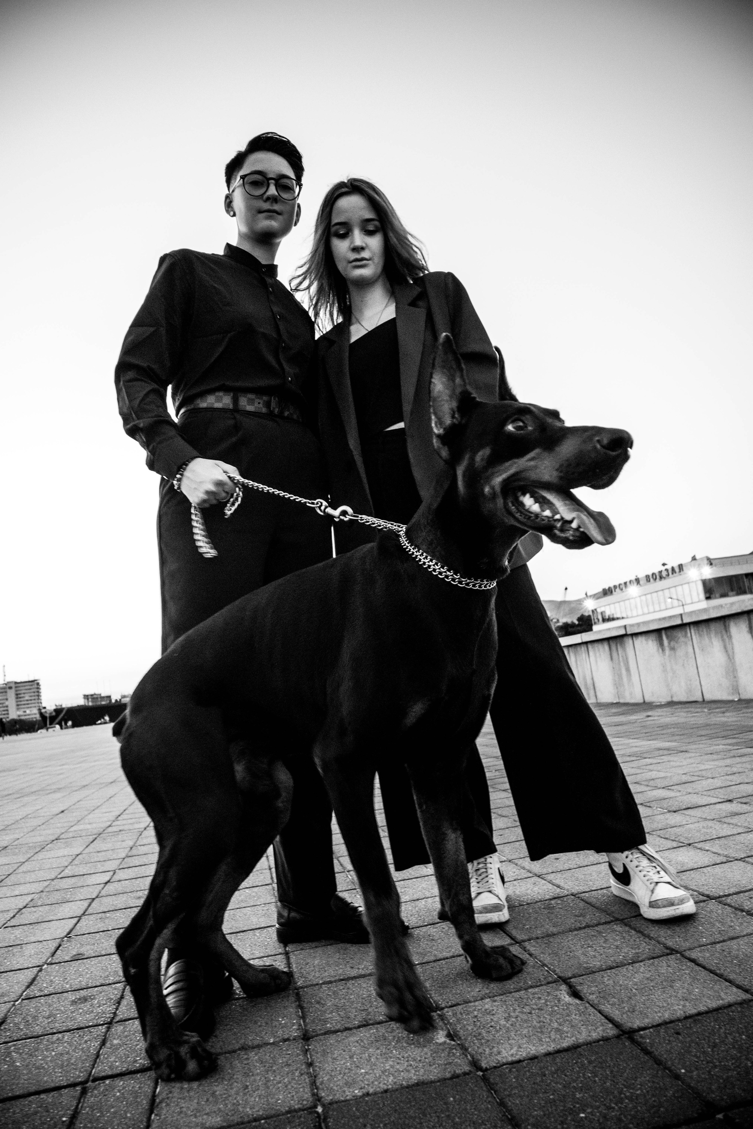 «Жизнь в ритме шага: пара с доберманом». Уличный фотограф Города N