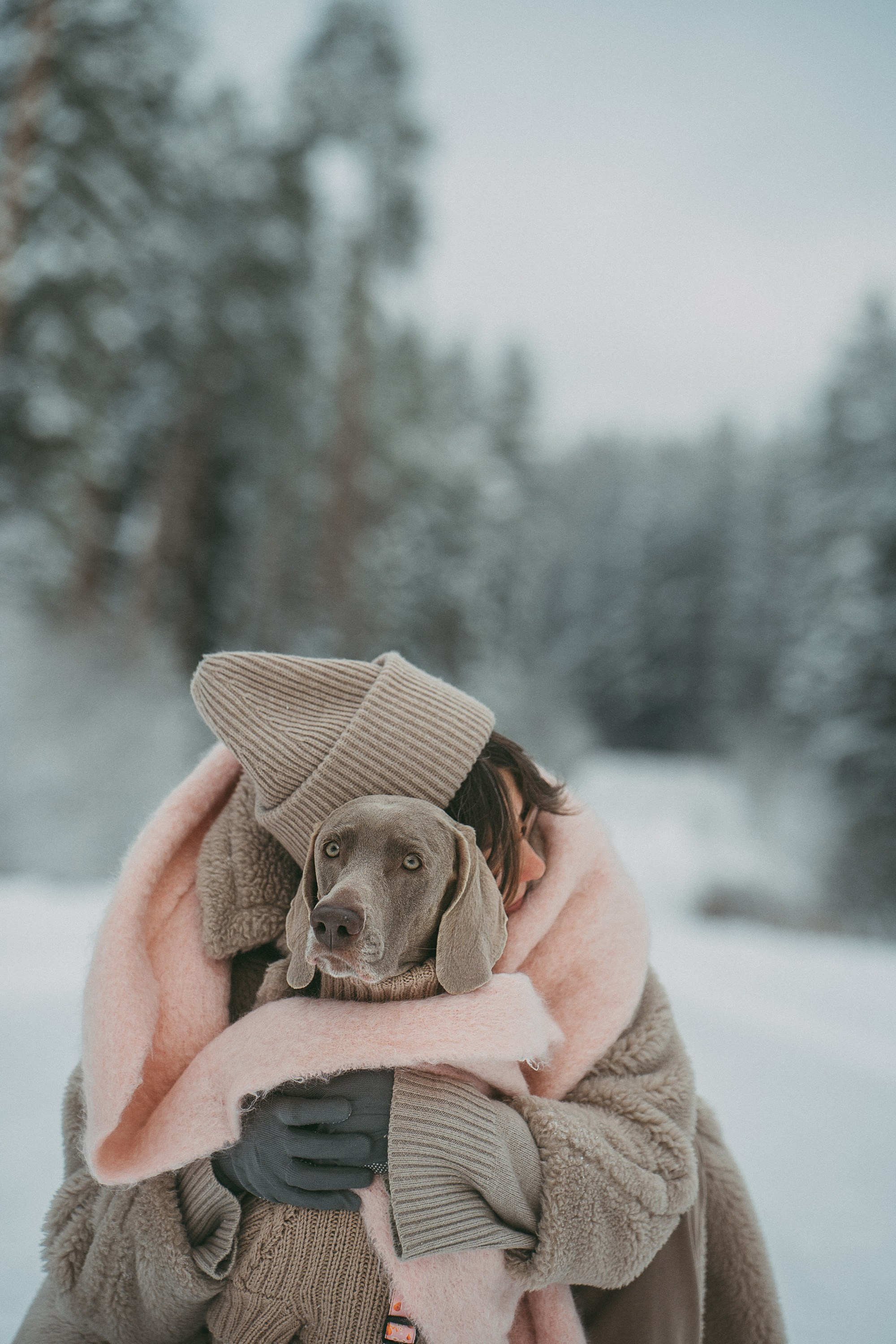 Лена и Фанни. Фотограф анималист в Москве и Санкт-Петербурге Свиридова Анна