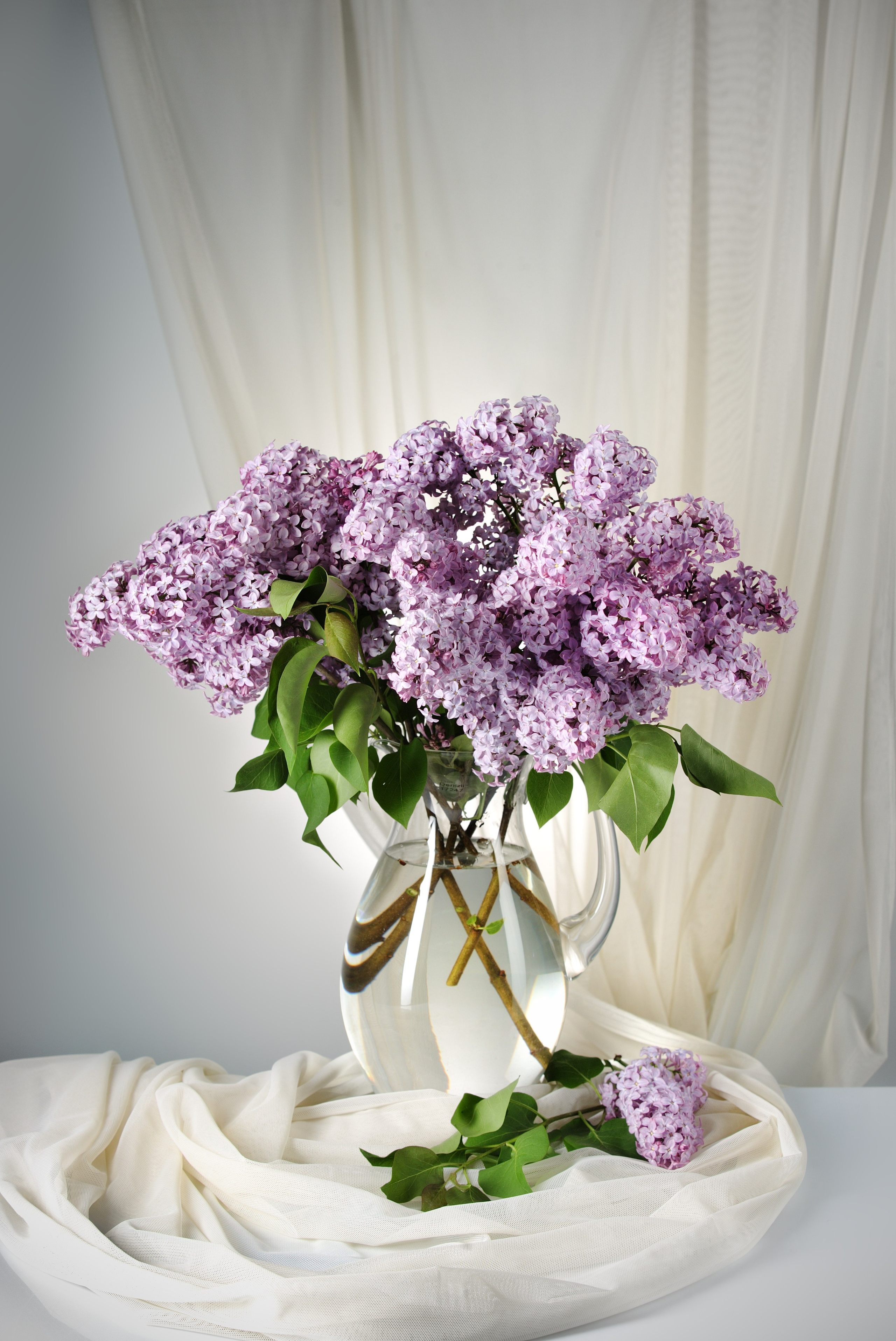 Цветы. Фотограф Мария Кольцова