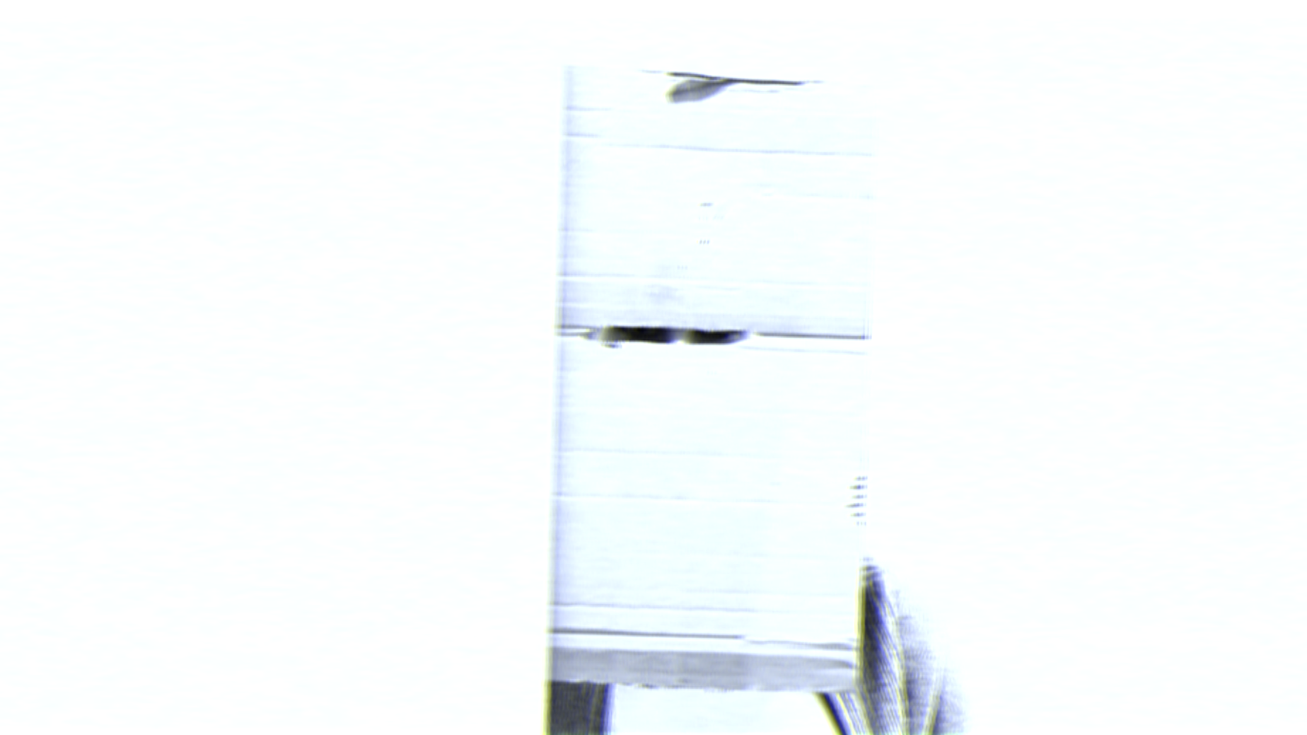 STRANGERS. KSENIYA YATC