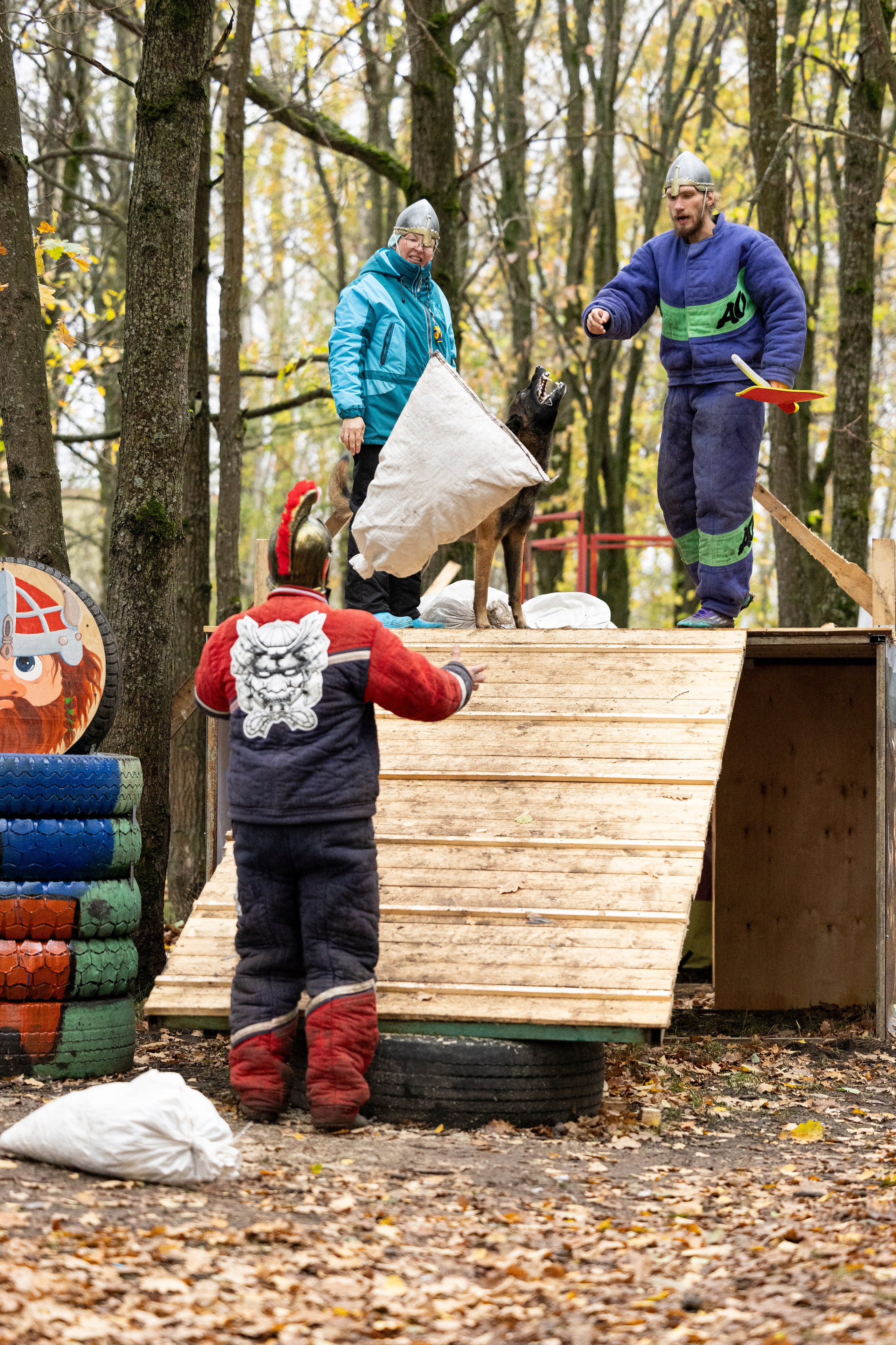 Соревнования по Мондьорингу г. Вологда. Фотограф-анималист Анна Маринич