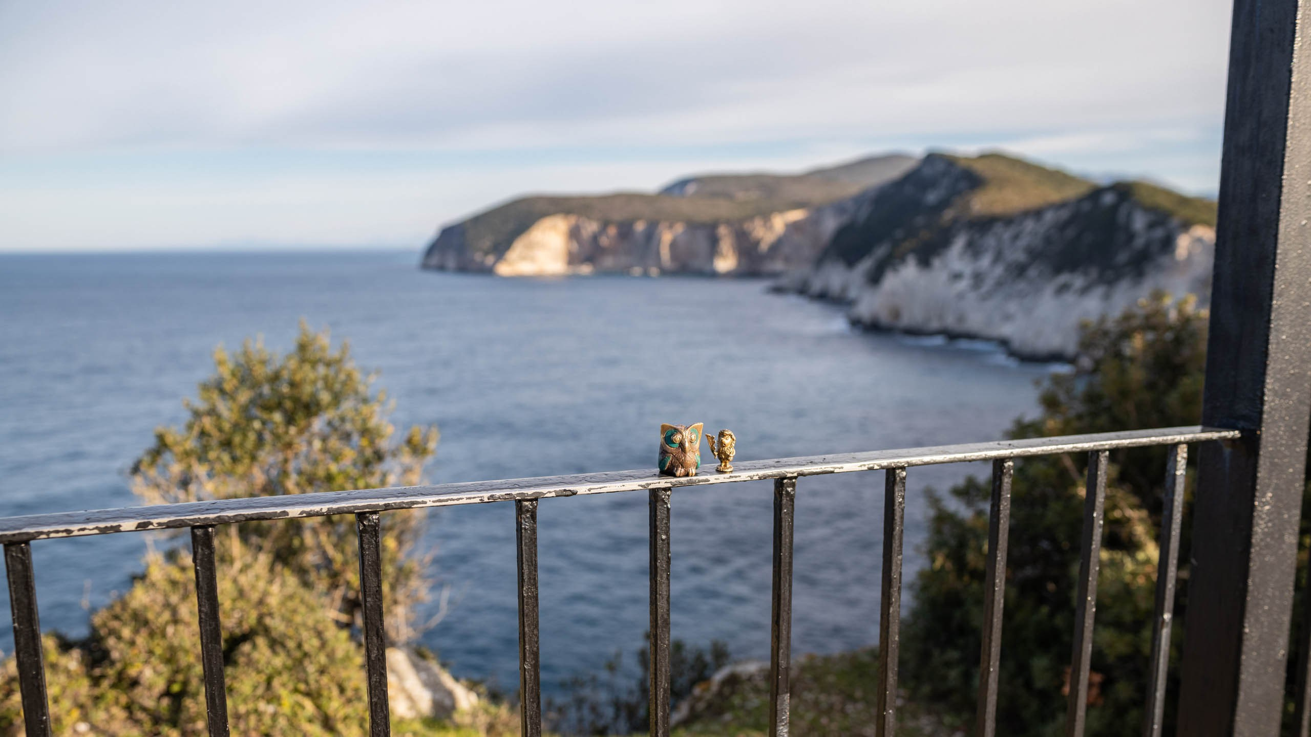 Ёжик и сова. Фотографии