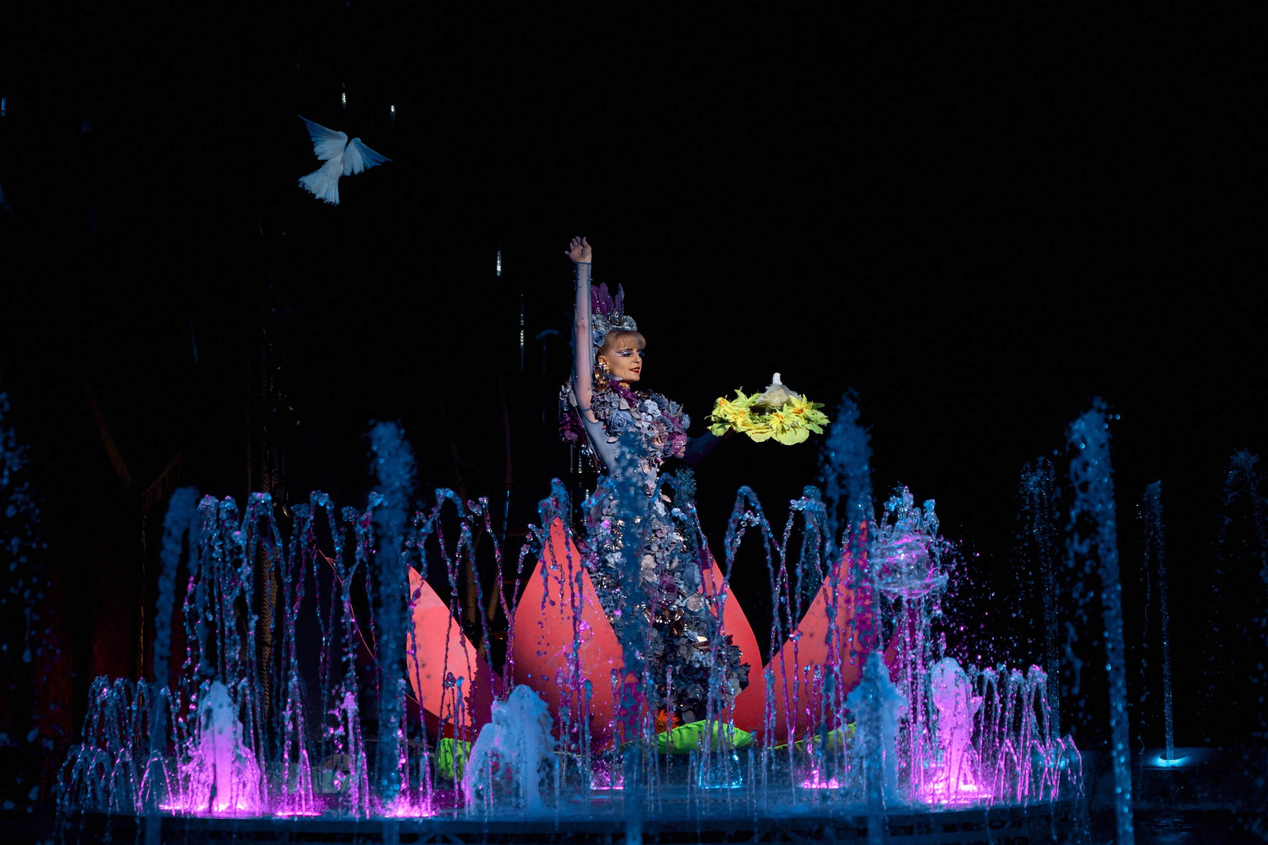 Цирк «На воде». Фотограф