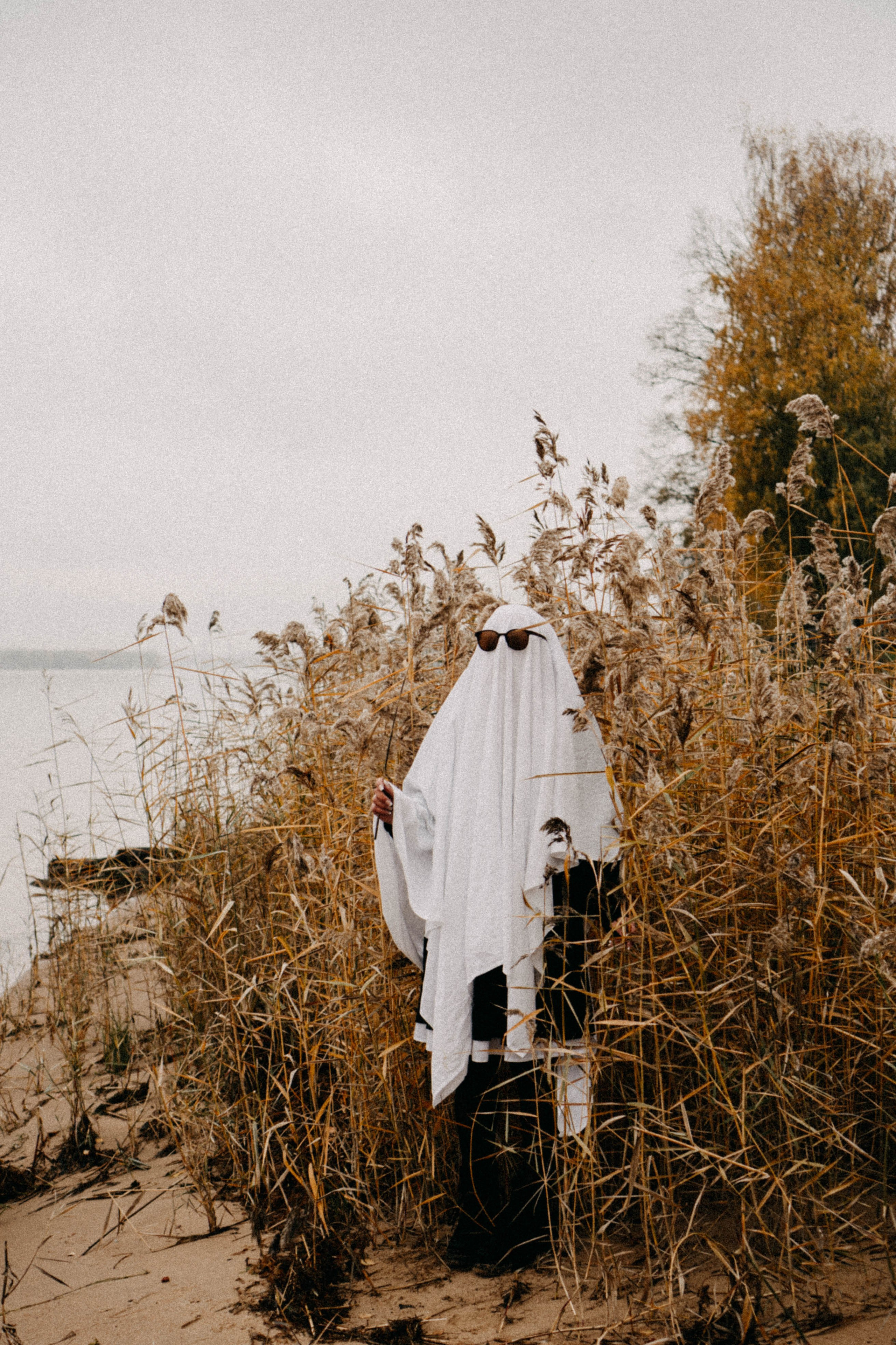 Осеняя. Профессиональный фотограф, Санкт-Петербург — Виктория Богомолова